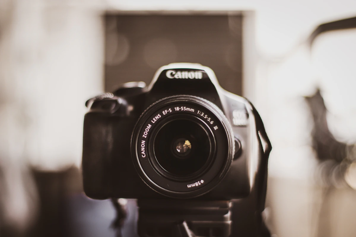 Canon EOS R100 レビュー | 最安値でRFマウントに入門できる一台