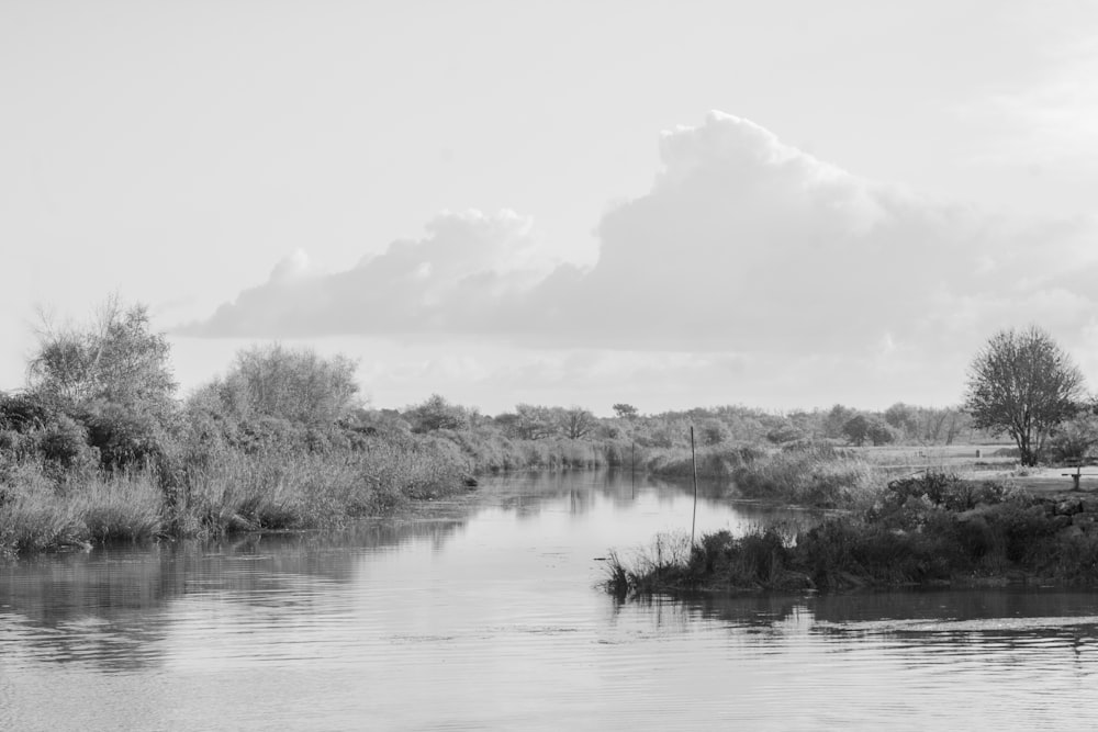 a black and white photo of a river