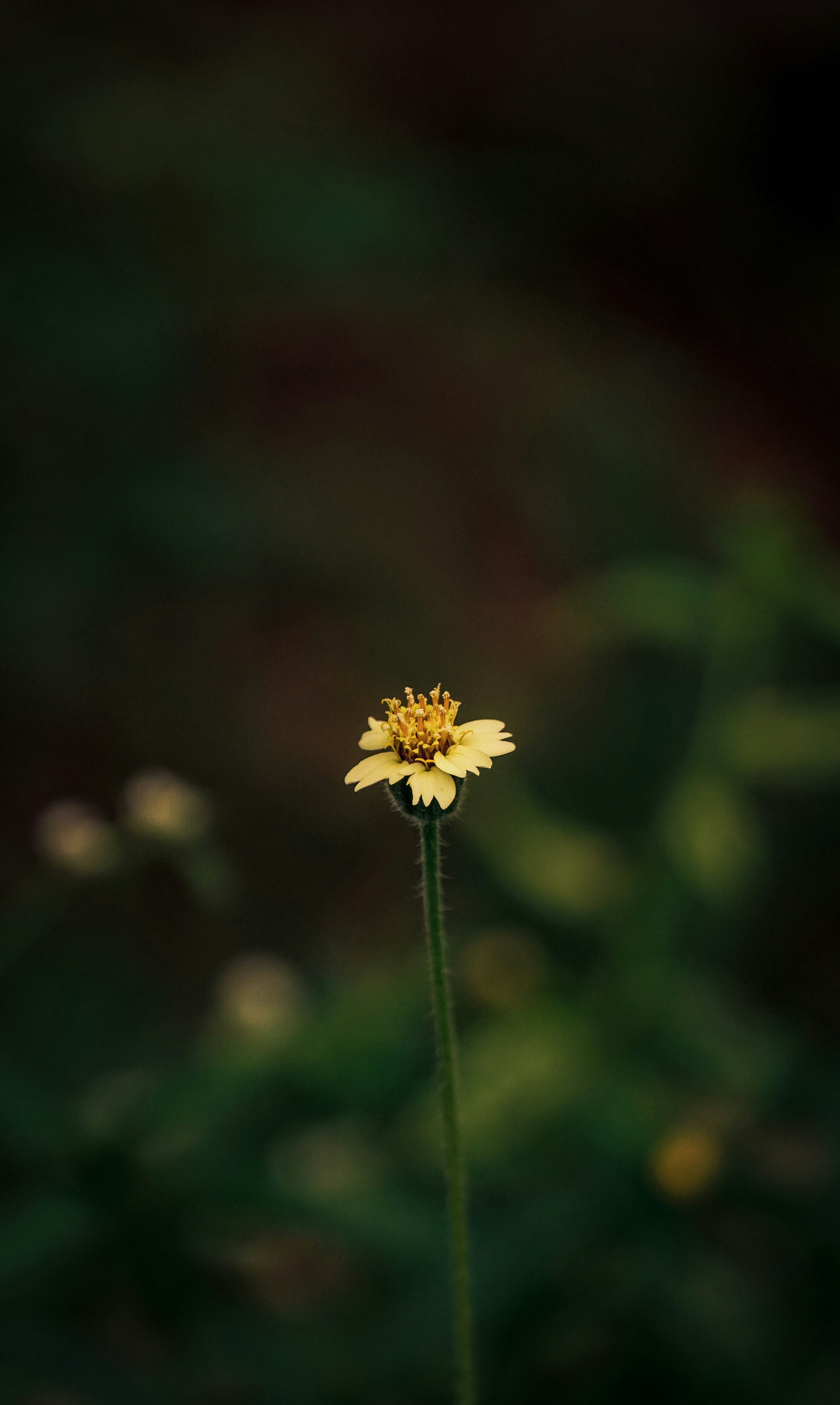 Photo by rehanshaik_17