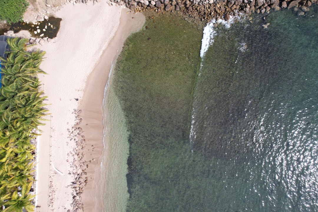 an aerial view of a beach and a body of water,