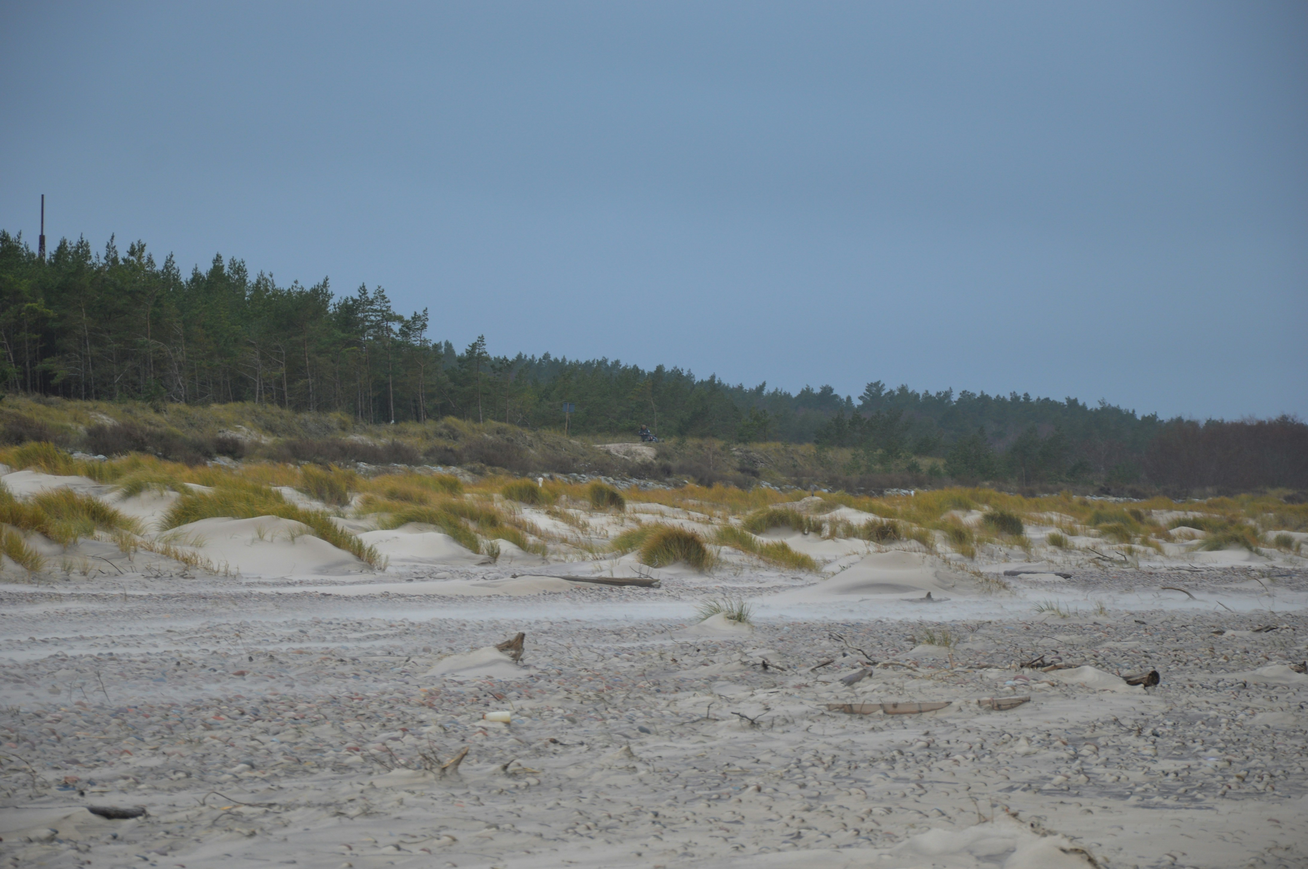 a sandy beach with trees in the background