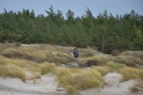 a person with a backpack walking through a field
