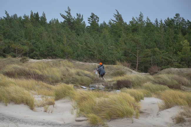 a person with a backpack walking through a field