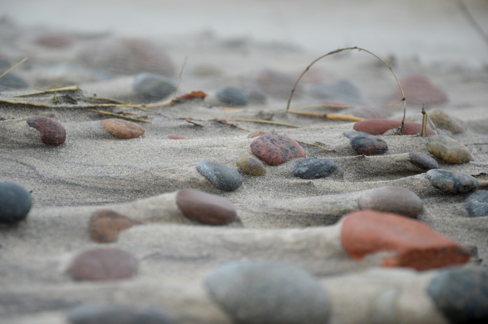 a bunch of rocks that are laying in the sand