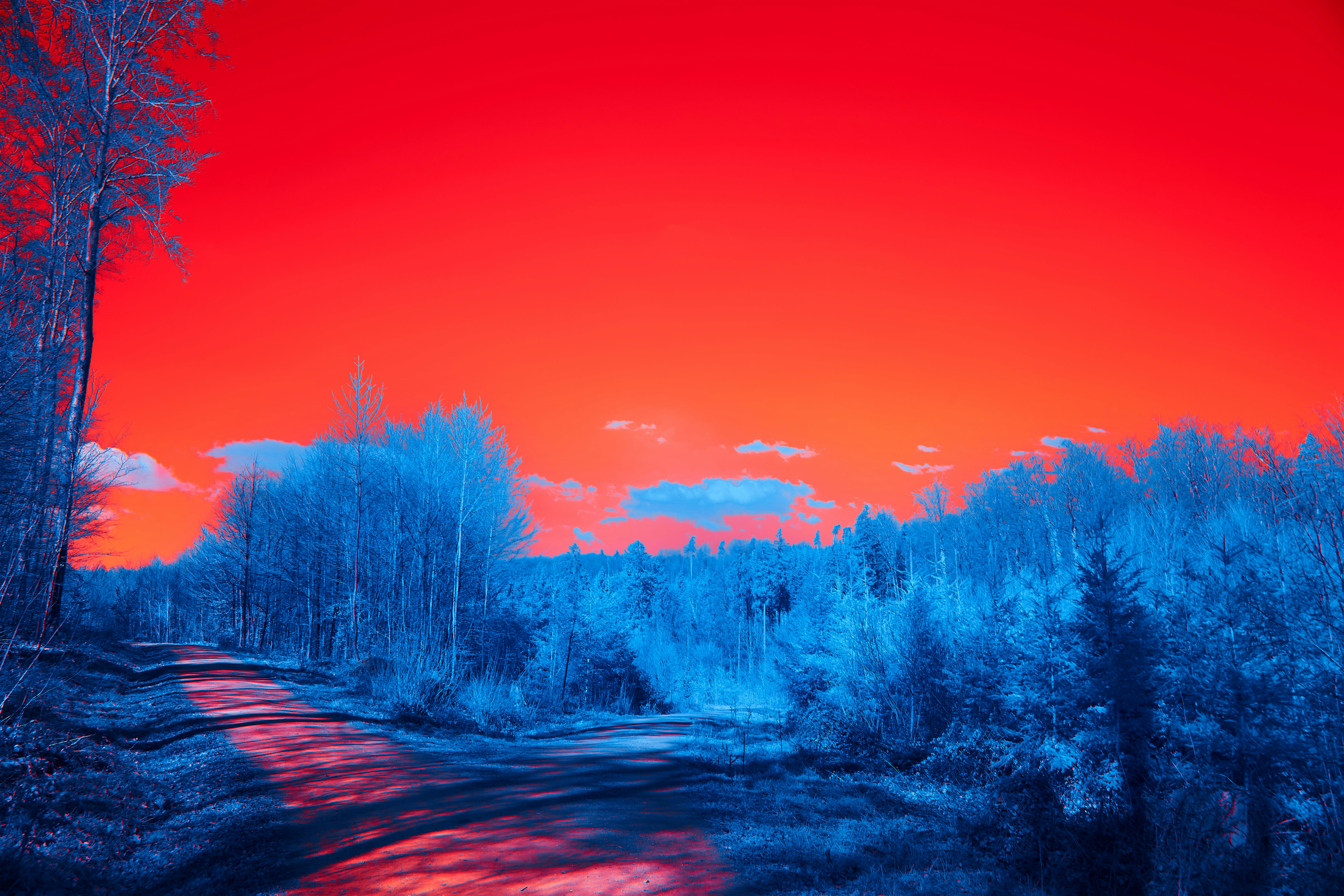 Photo by wolfgang_hasselmann