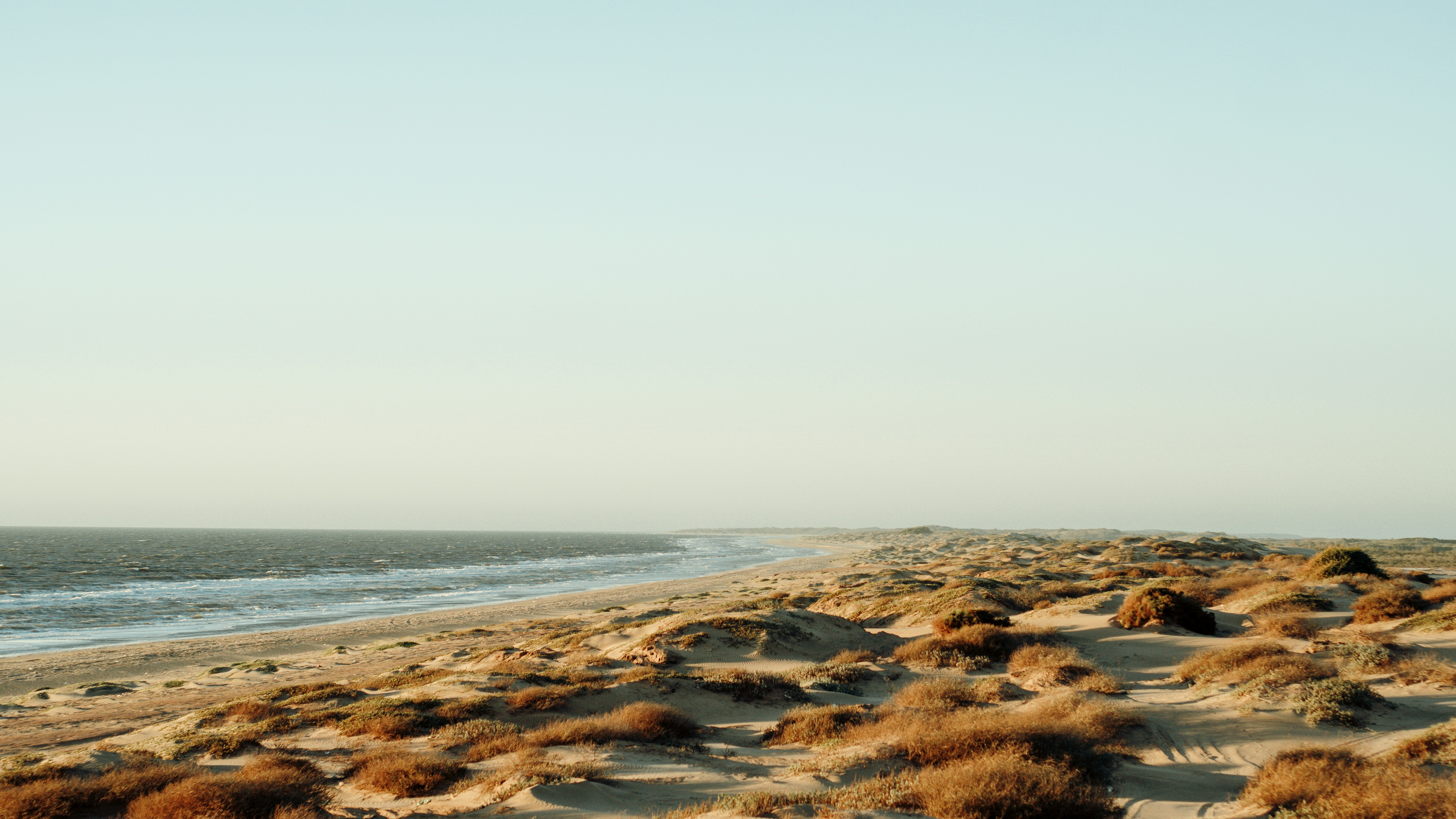 Photo by abdiasavalos