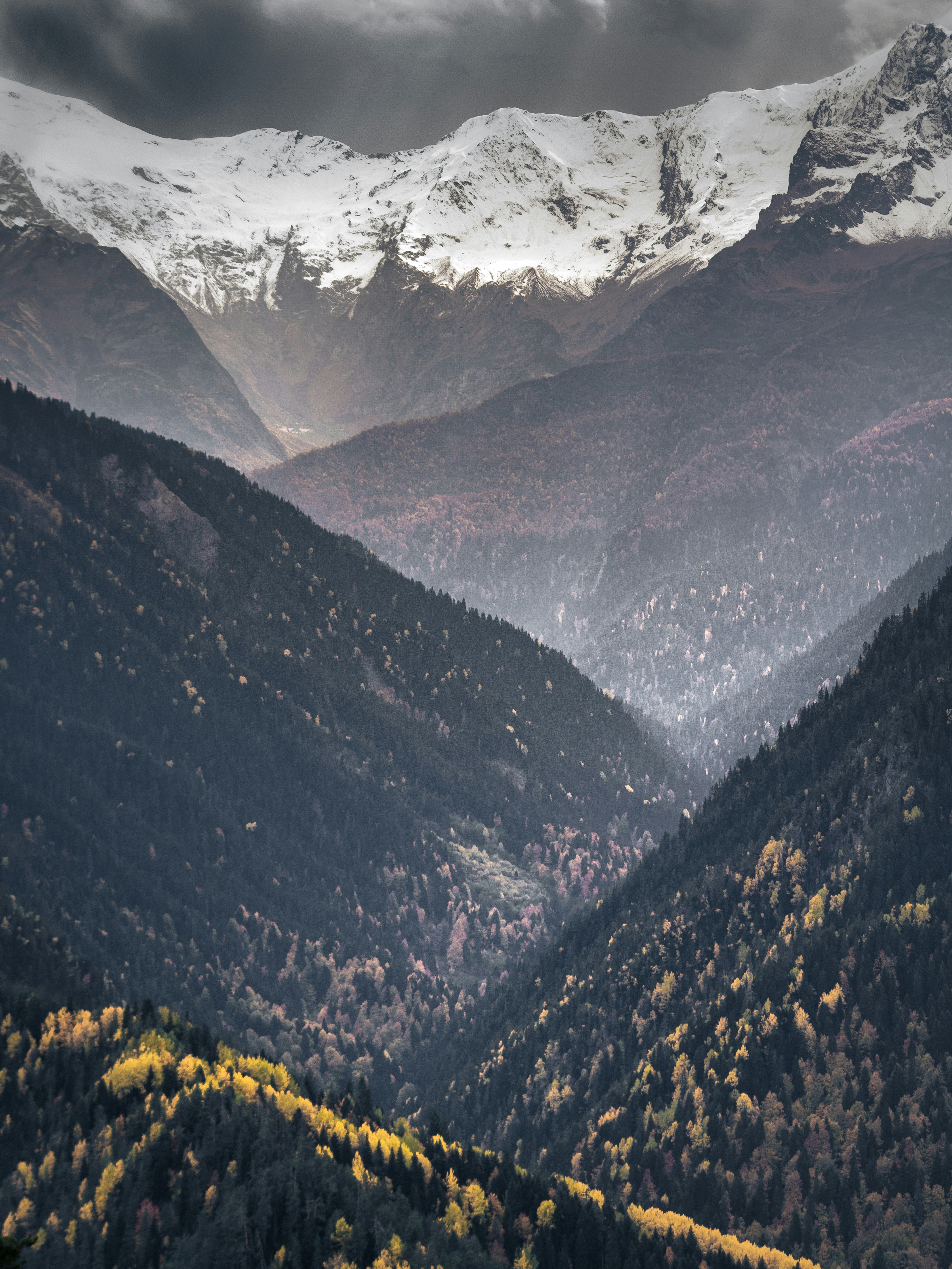 Photo by marekpiwnicki