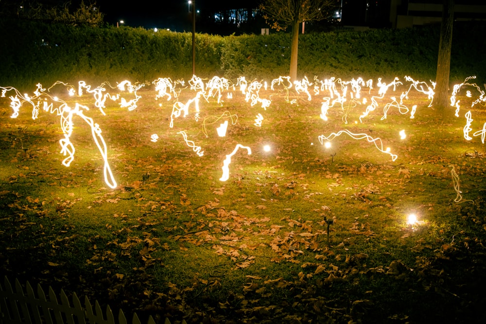 a group of lights that are in the grass