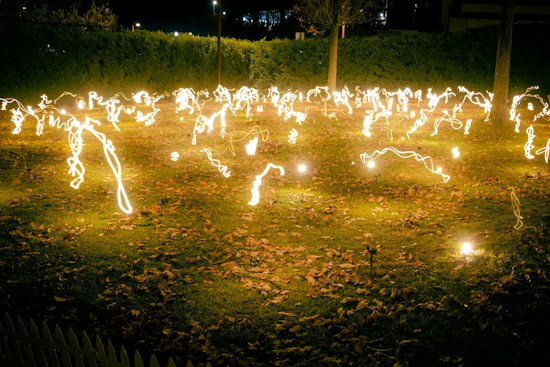 A nighttime scene features numerous swirling, glowing light trails spread across a grassy area covered with fallen leaves. The background includes a dark hedge and a few trees.