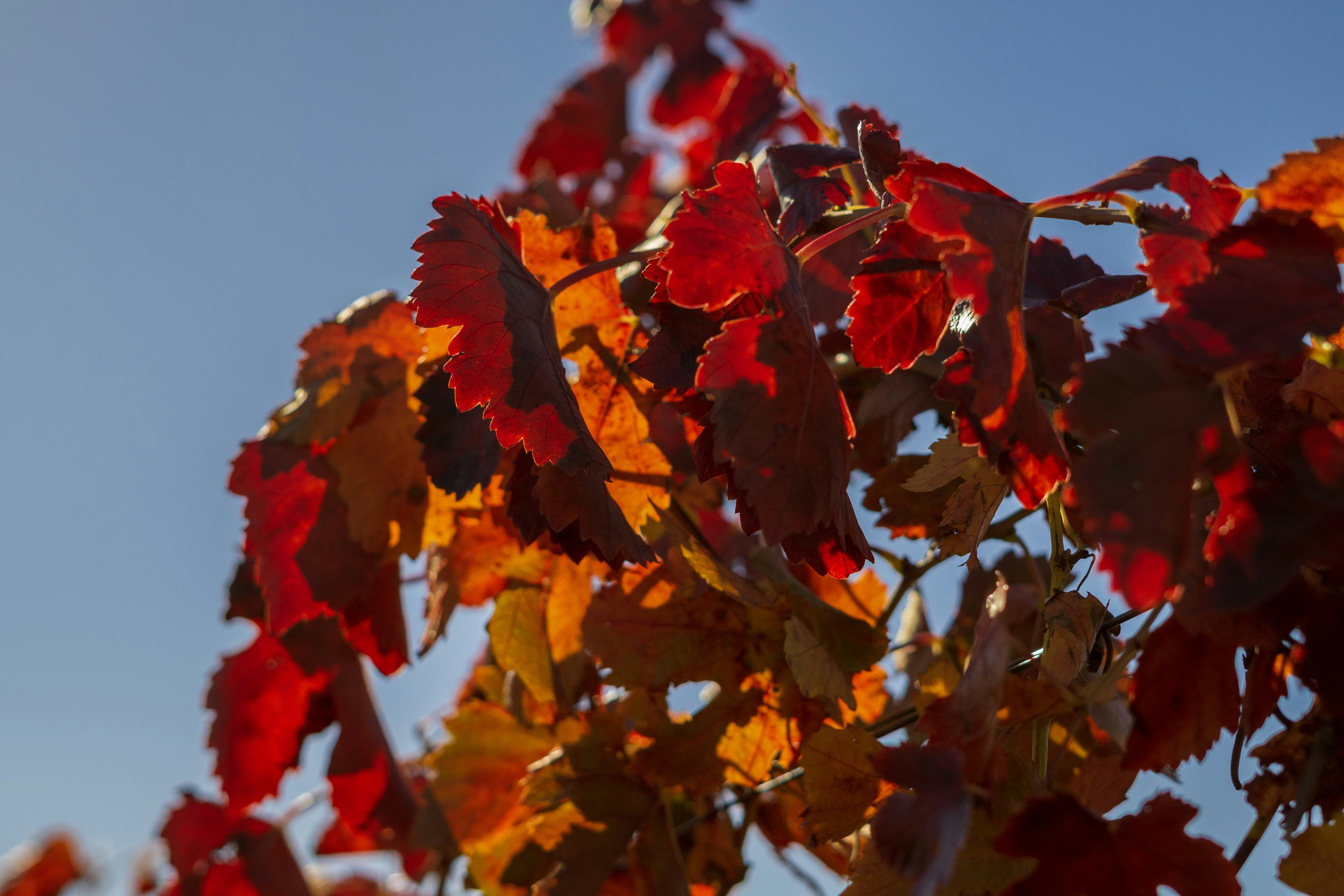 Photo by spencer_demera