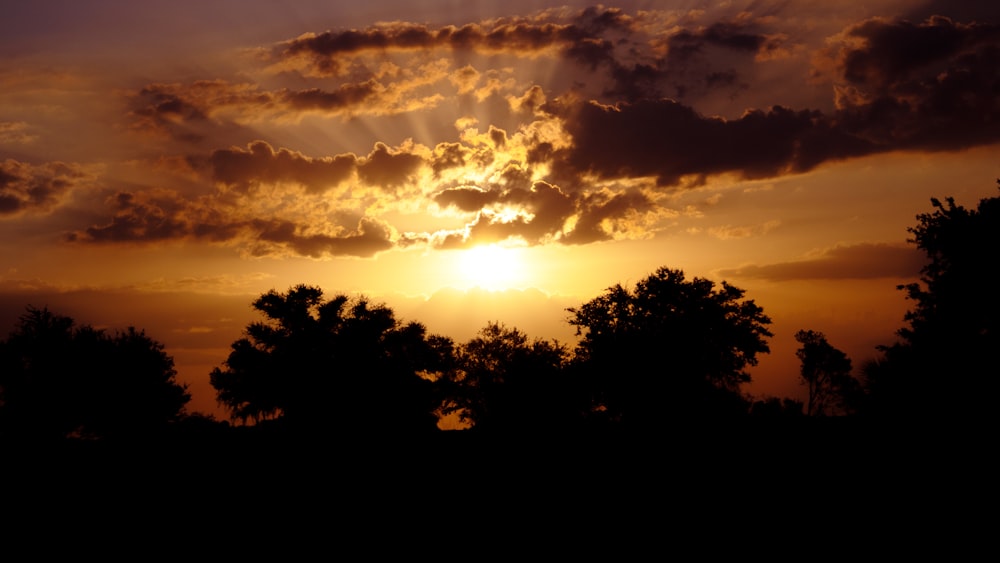 the sun is setting behind some trees