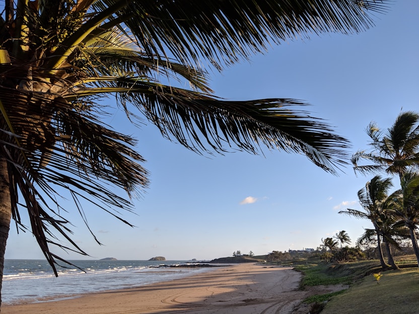 A scenic beach with clear blue water and palm trees.