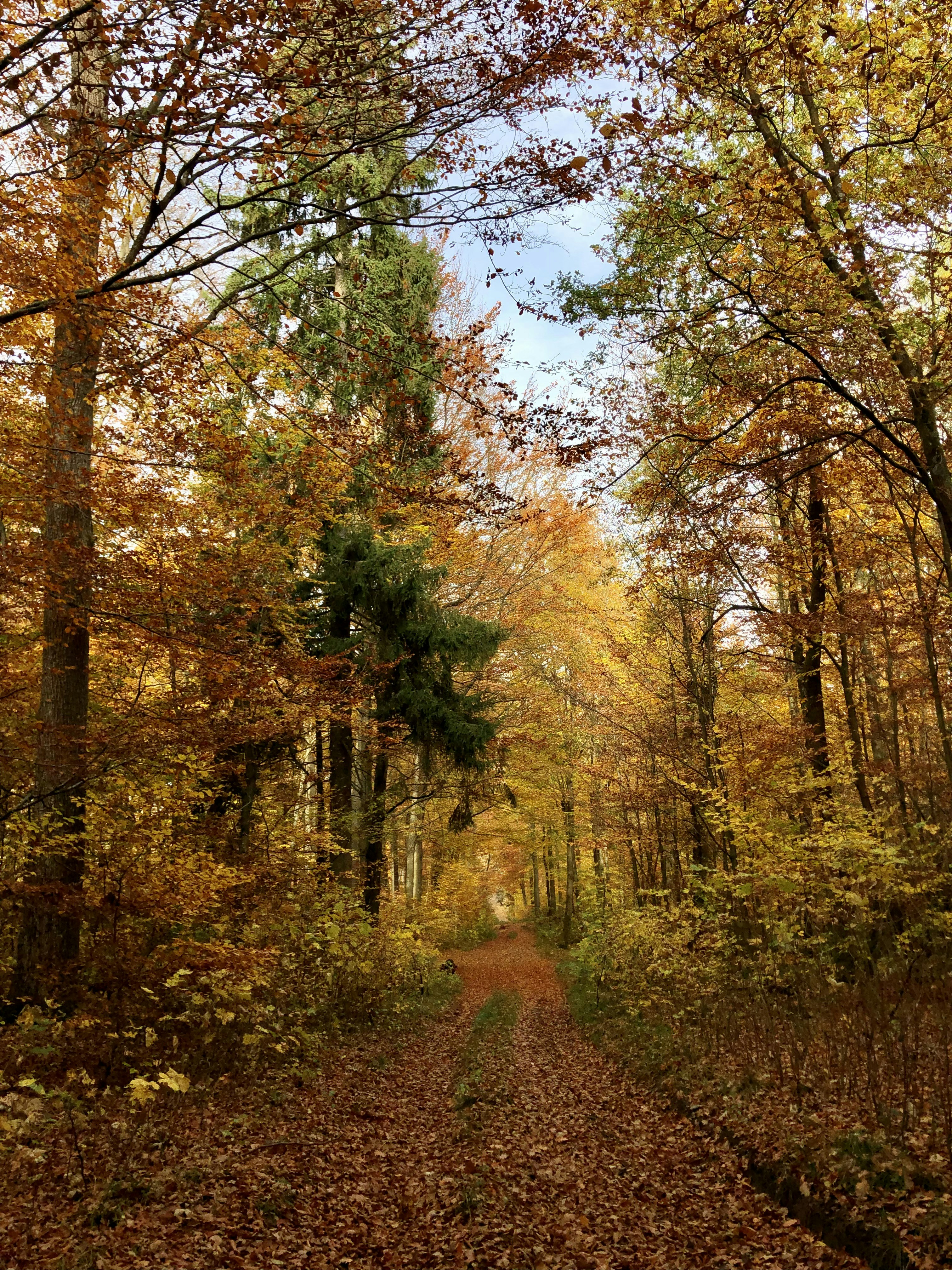 Photo by stuemmelchen