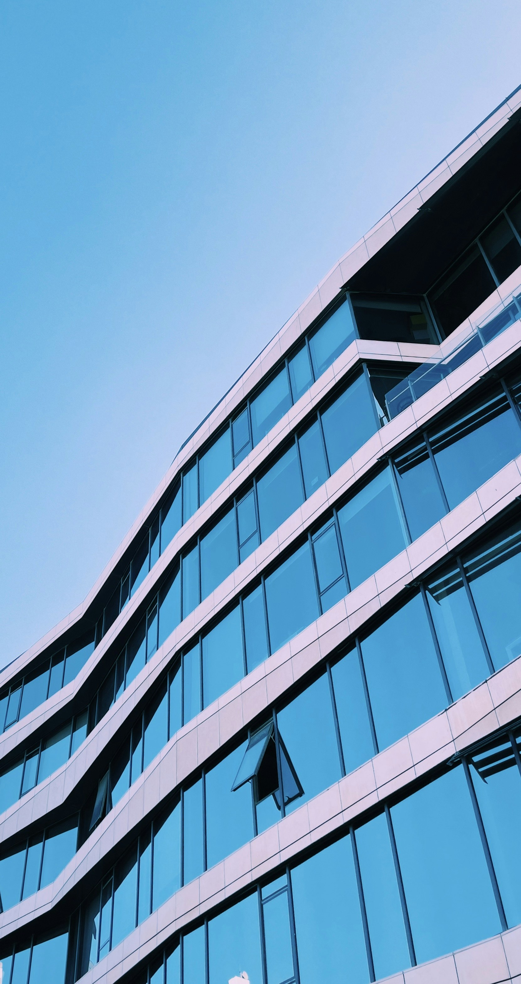 Photo by rawanyasser