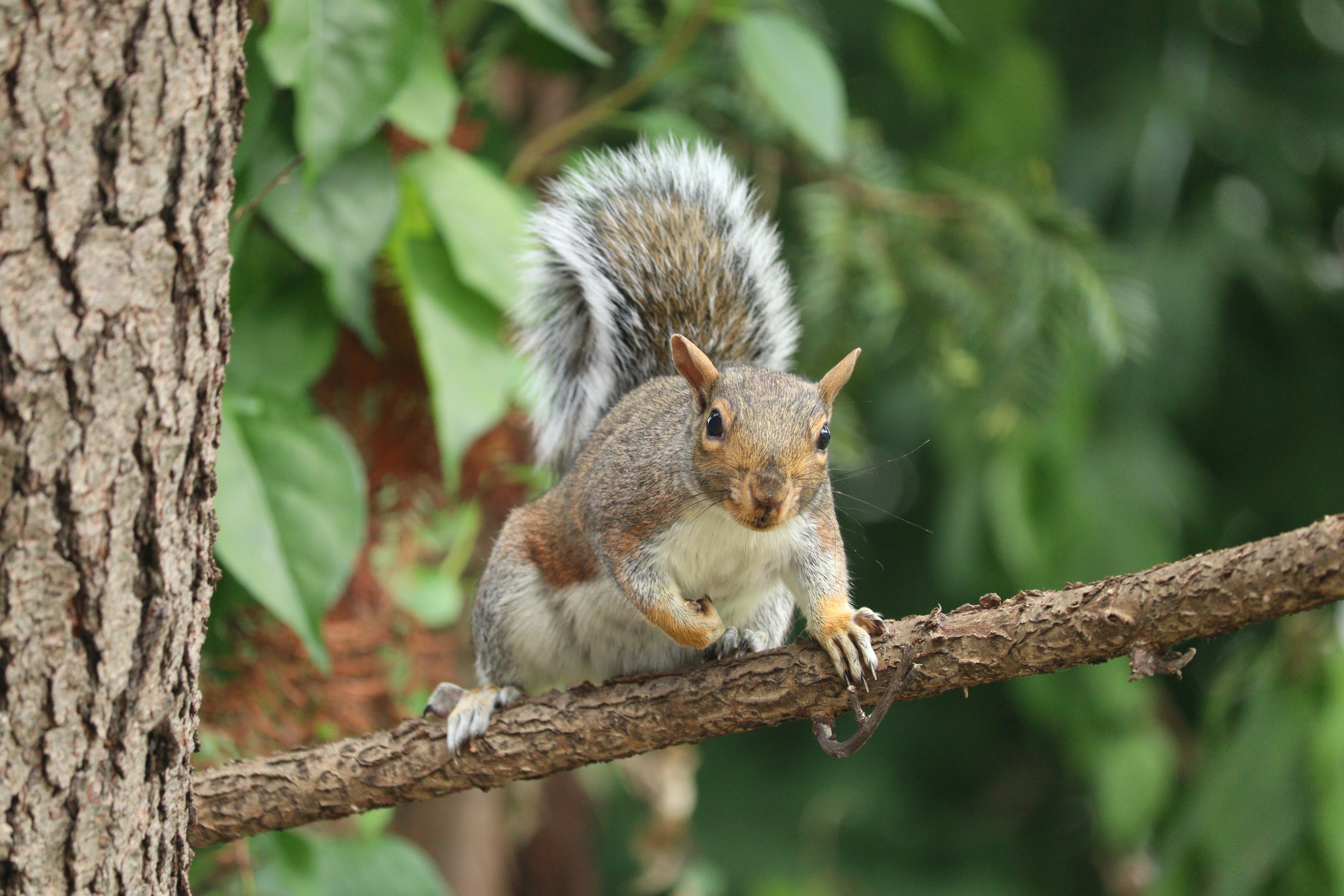 Photo by esteewhitephotos