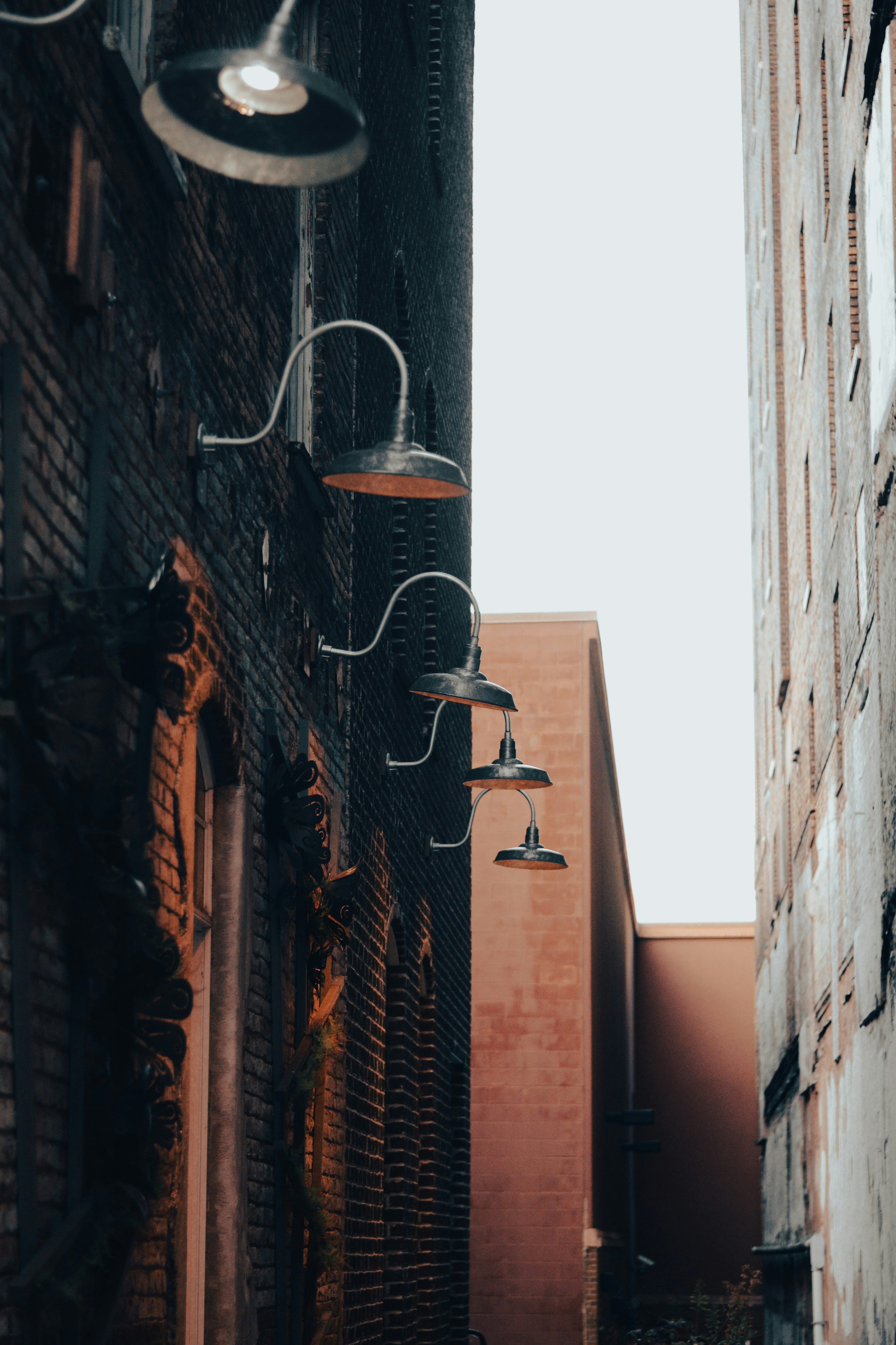 Photo by spookybobross