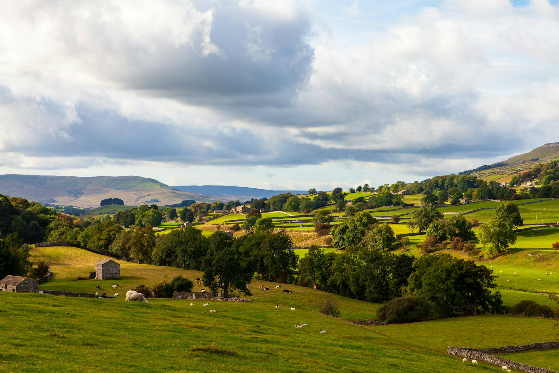 British countryside farmland