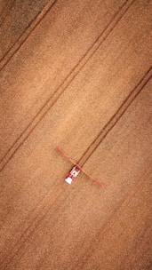 an aerial view of a kite flying in the sky