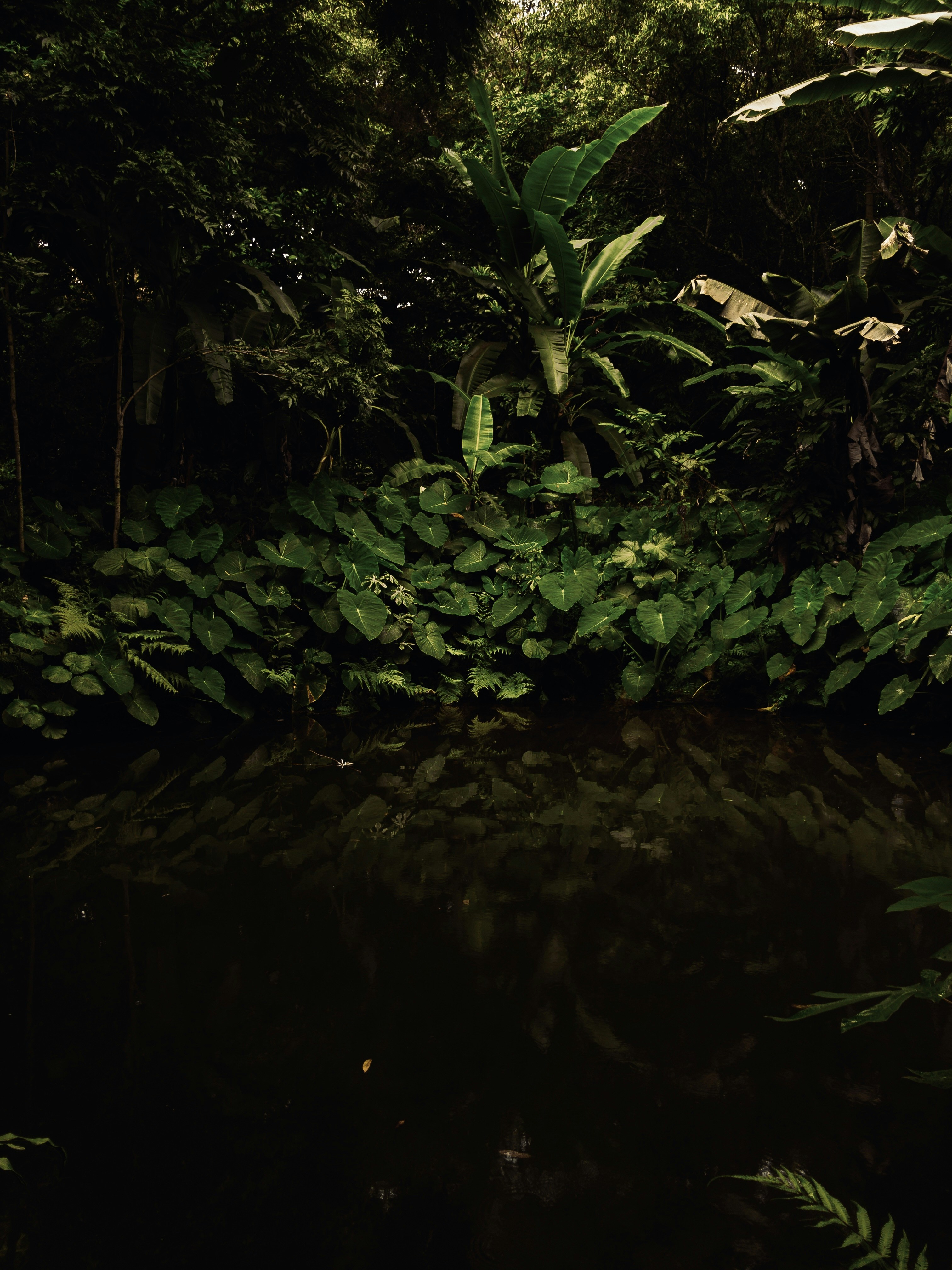 Photo by gabrieldizzi