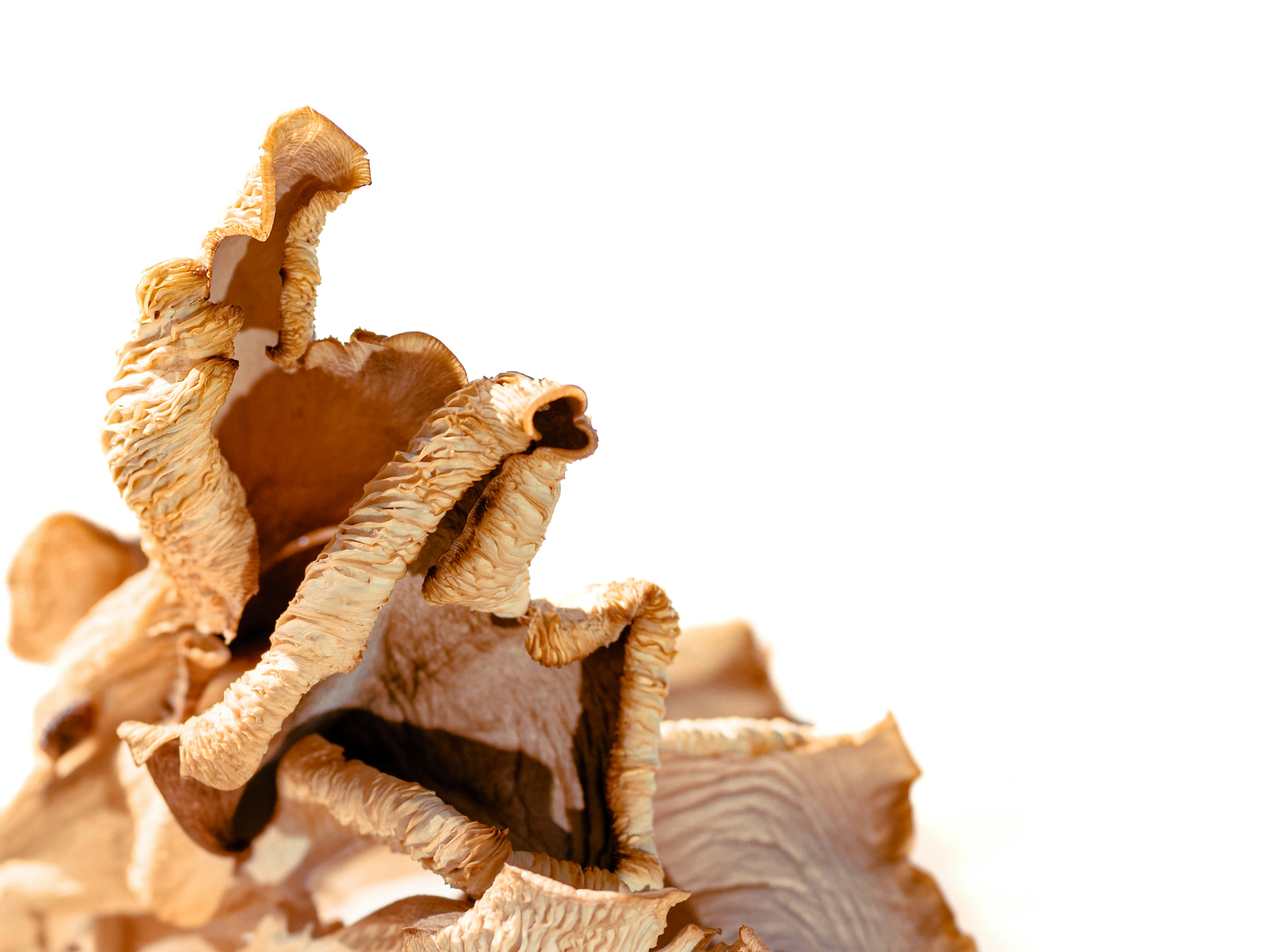 Photo by kierinsightarchives