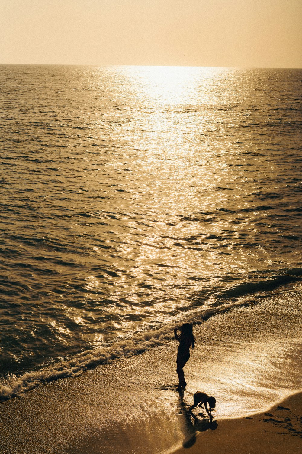 a person walking a dog on a beach near the ocean