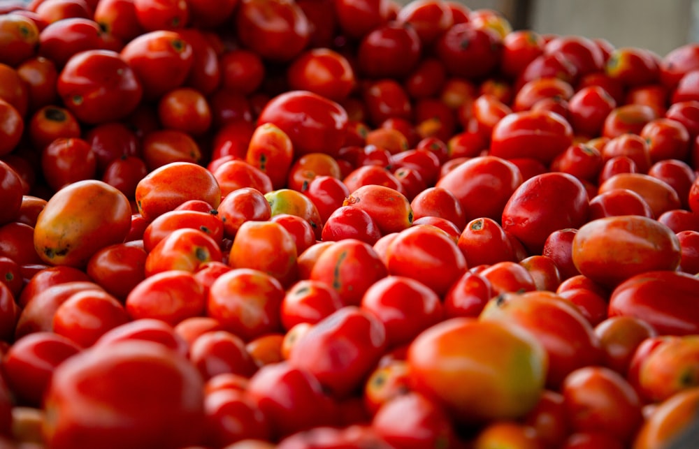 a bunch of tomatoes that are in a bowl