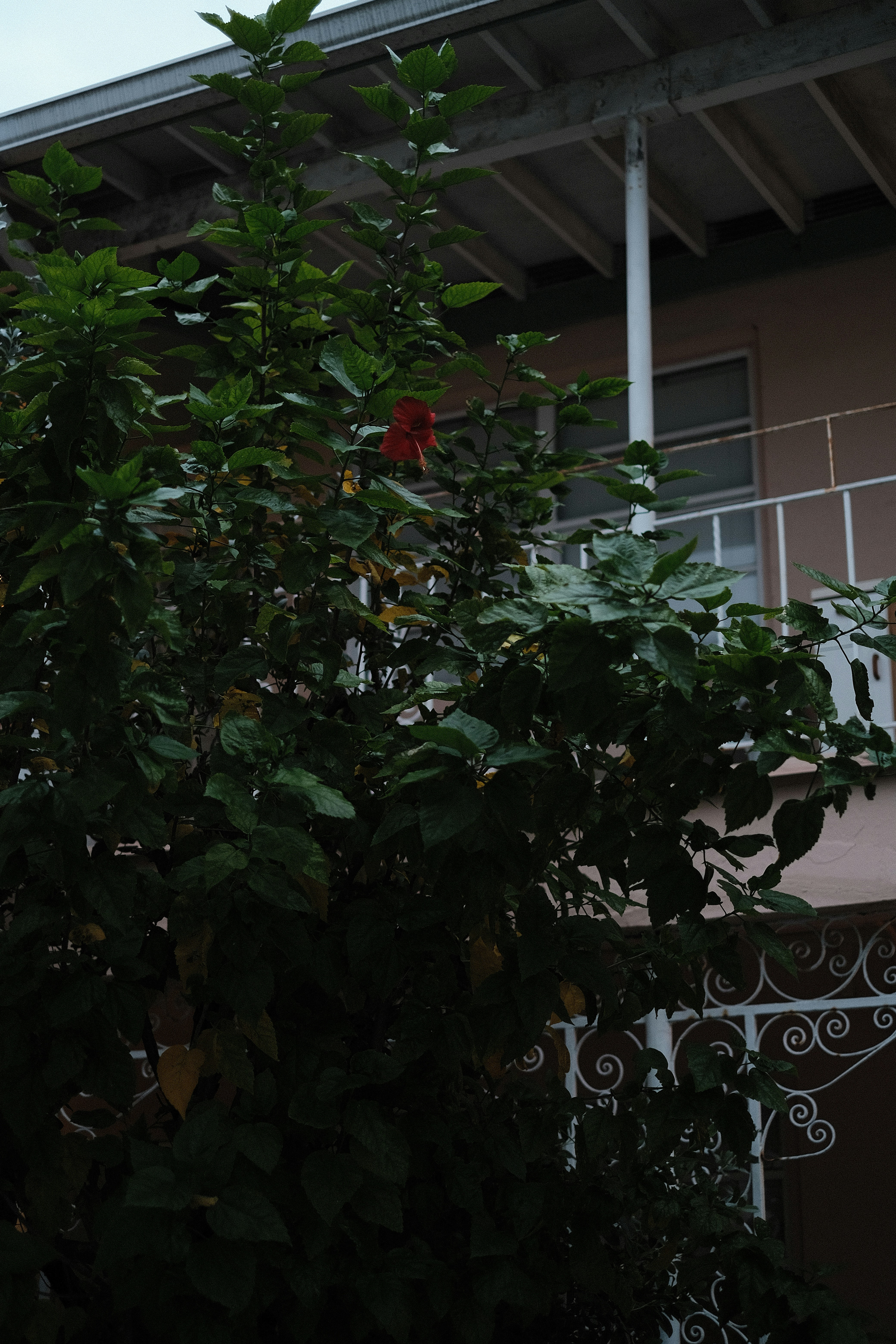 Photo by dillydallying