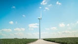 Technician inspecting a wind turbine in a green field.