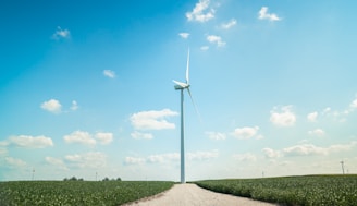 A large wind turbine stands in the center of a green field under a clear blue sky with scattered white clouds. A gravel path leads towards the turbine, surrounded by vegetation, and additional turbines can be seen in the distance.