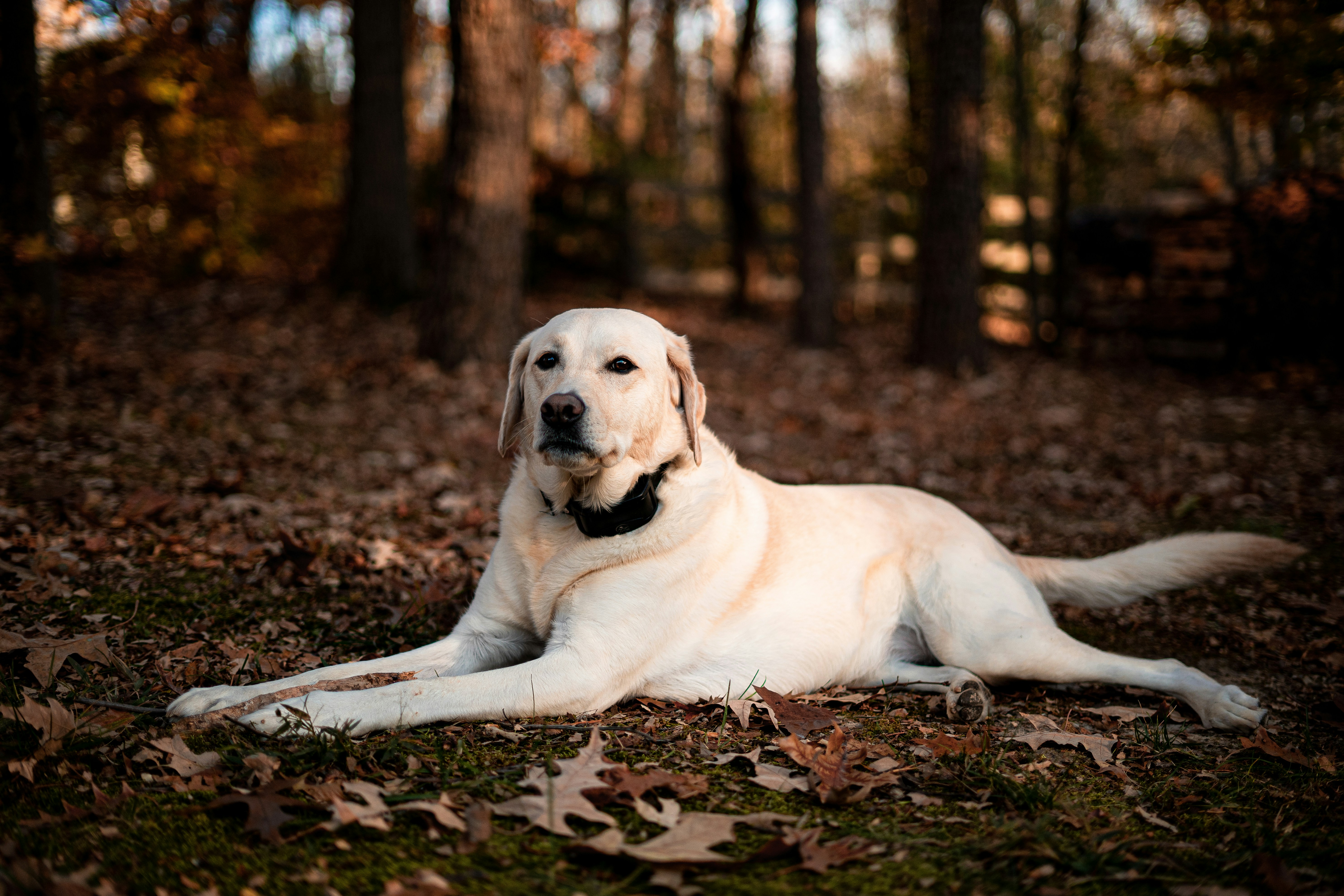 Photo by chrishardyphotography