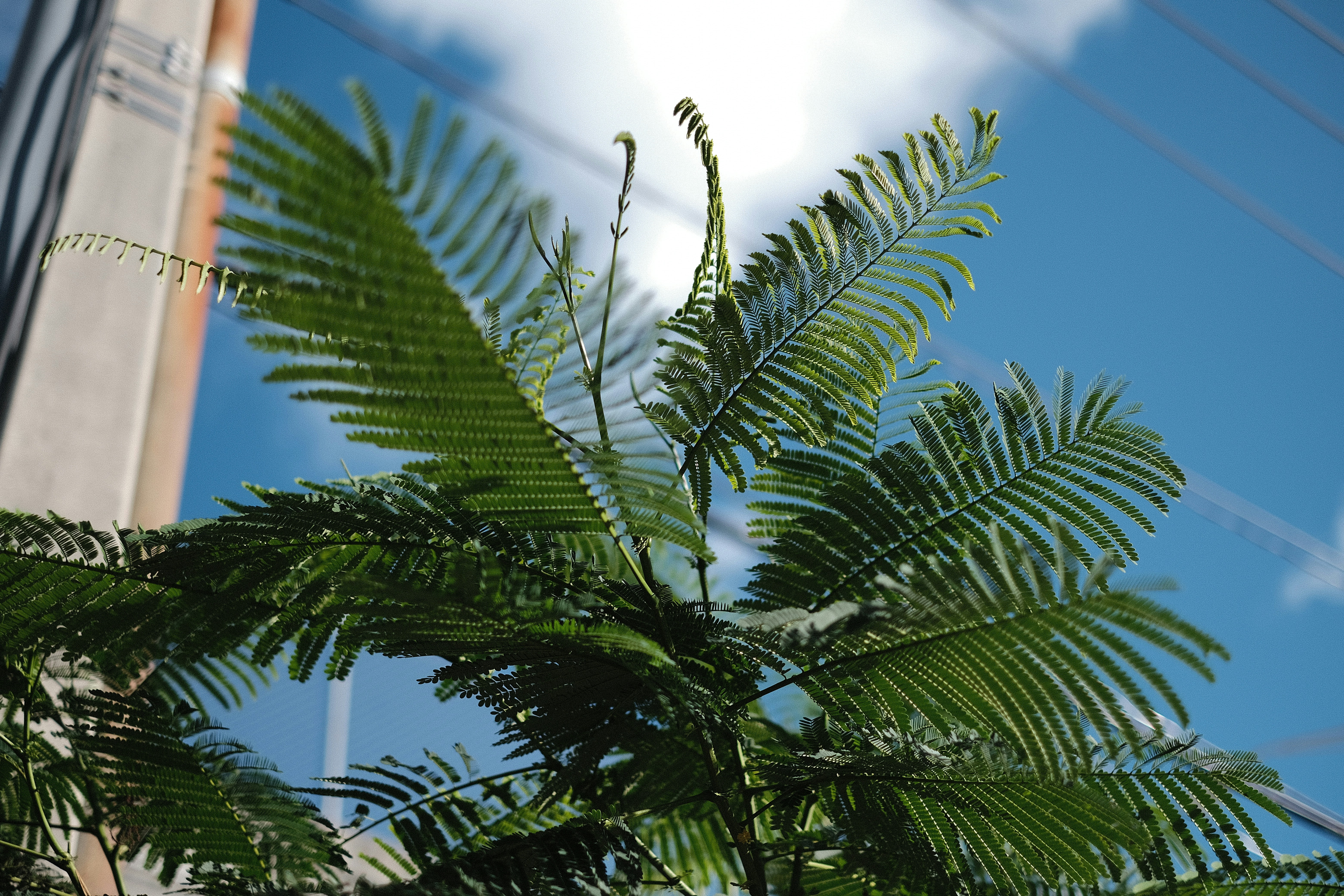 Photo by dillydallying