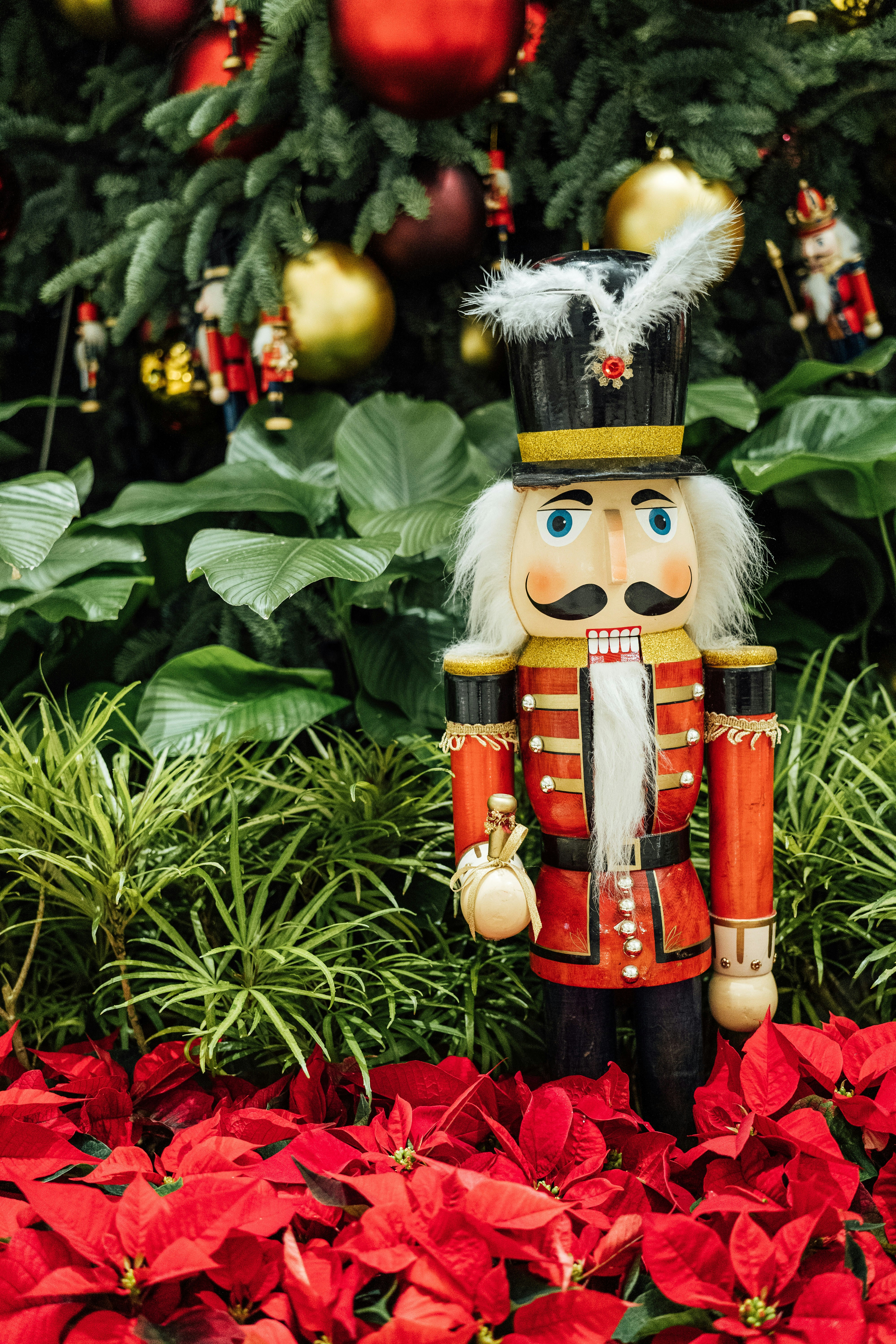 Photo by chuttersnap