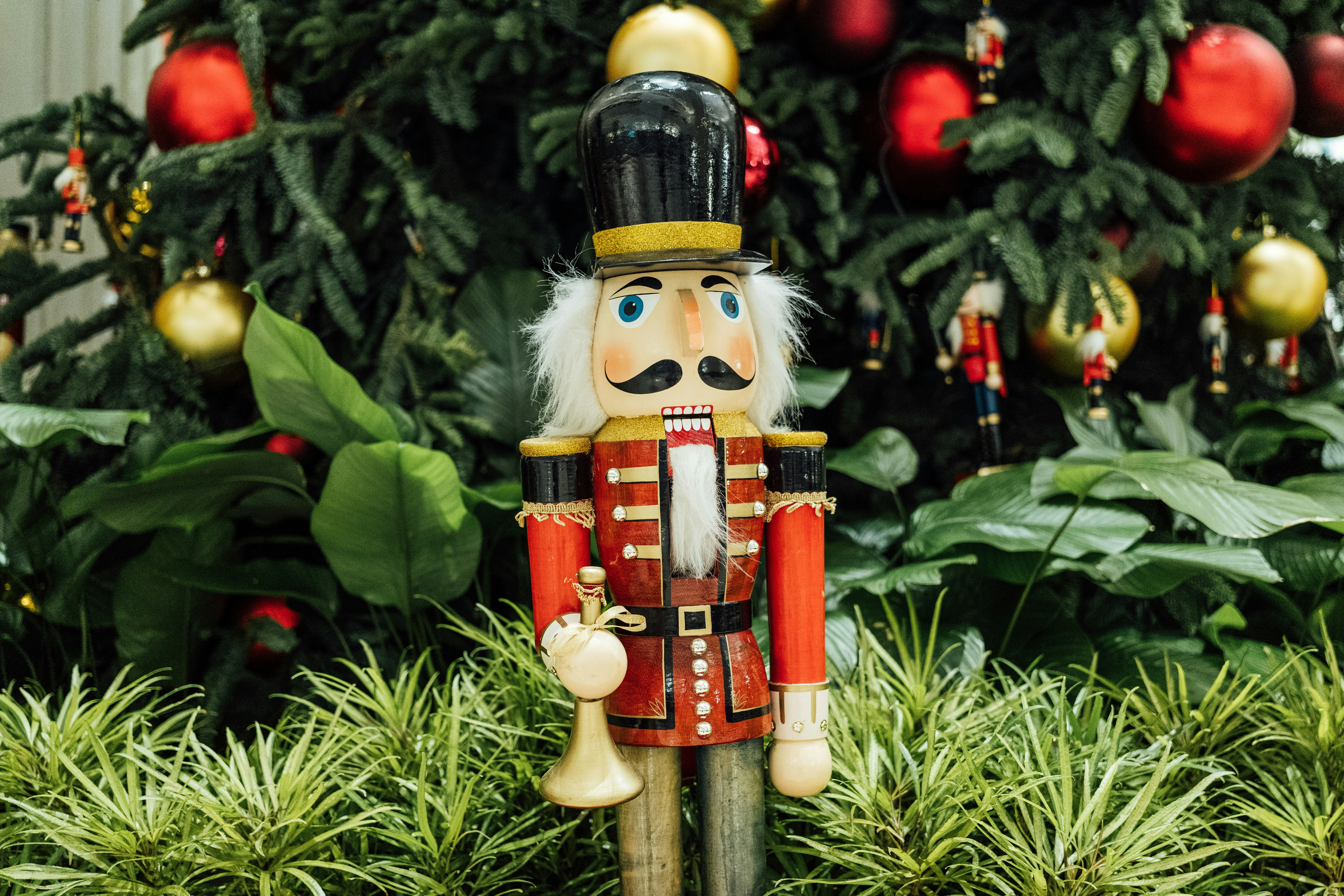 Photo by chuttersnap