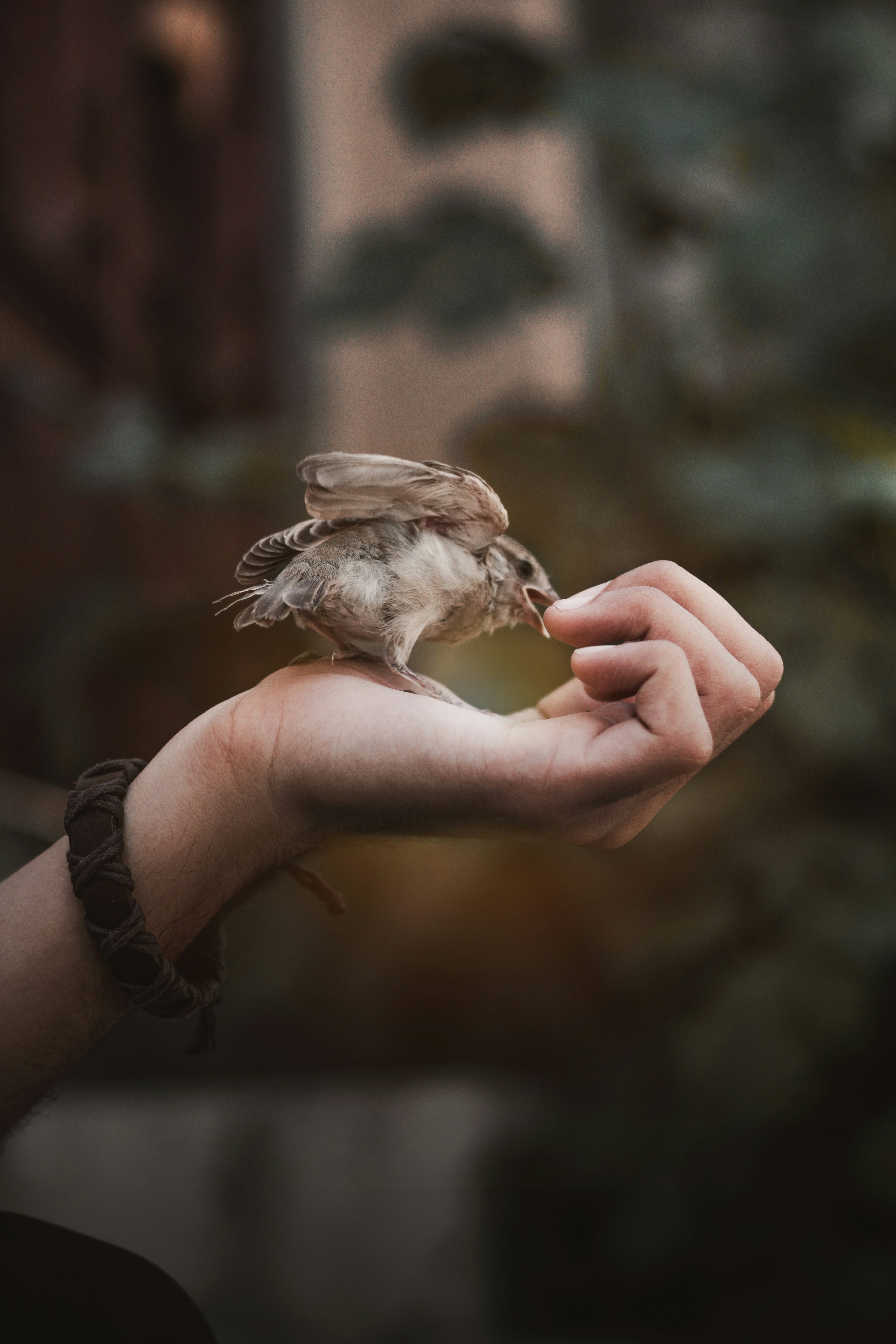 a person holding a bird in their hand