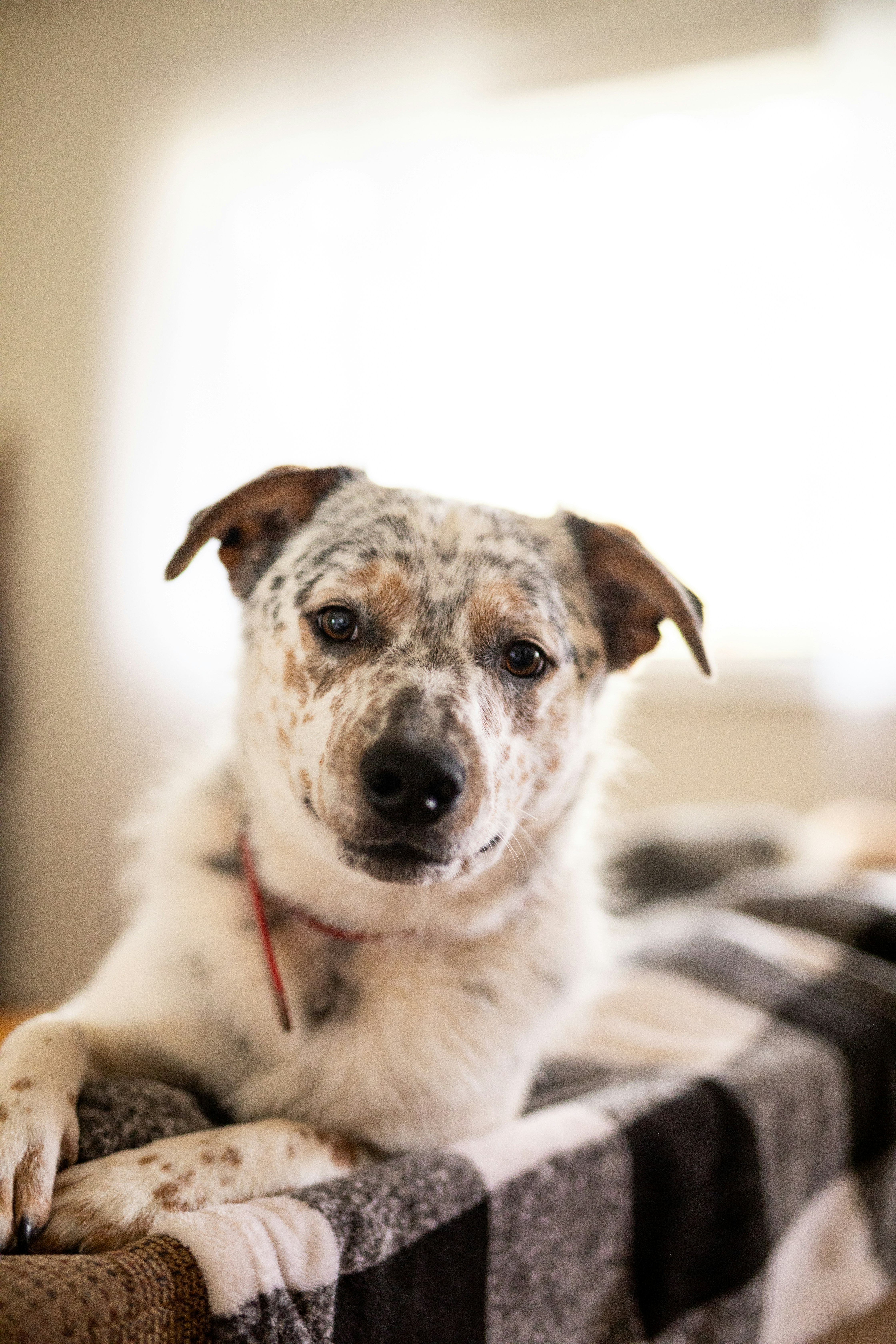 Photo by courtneywentz