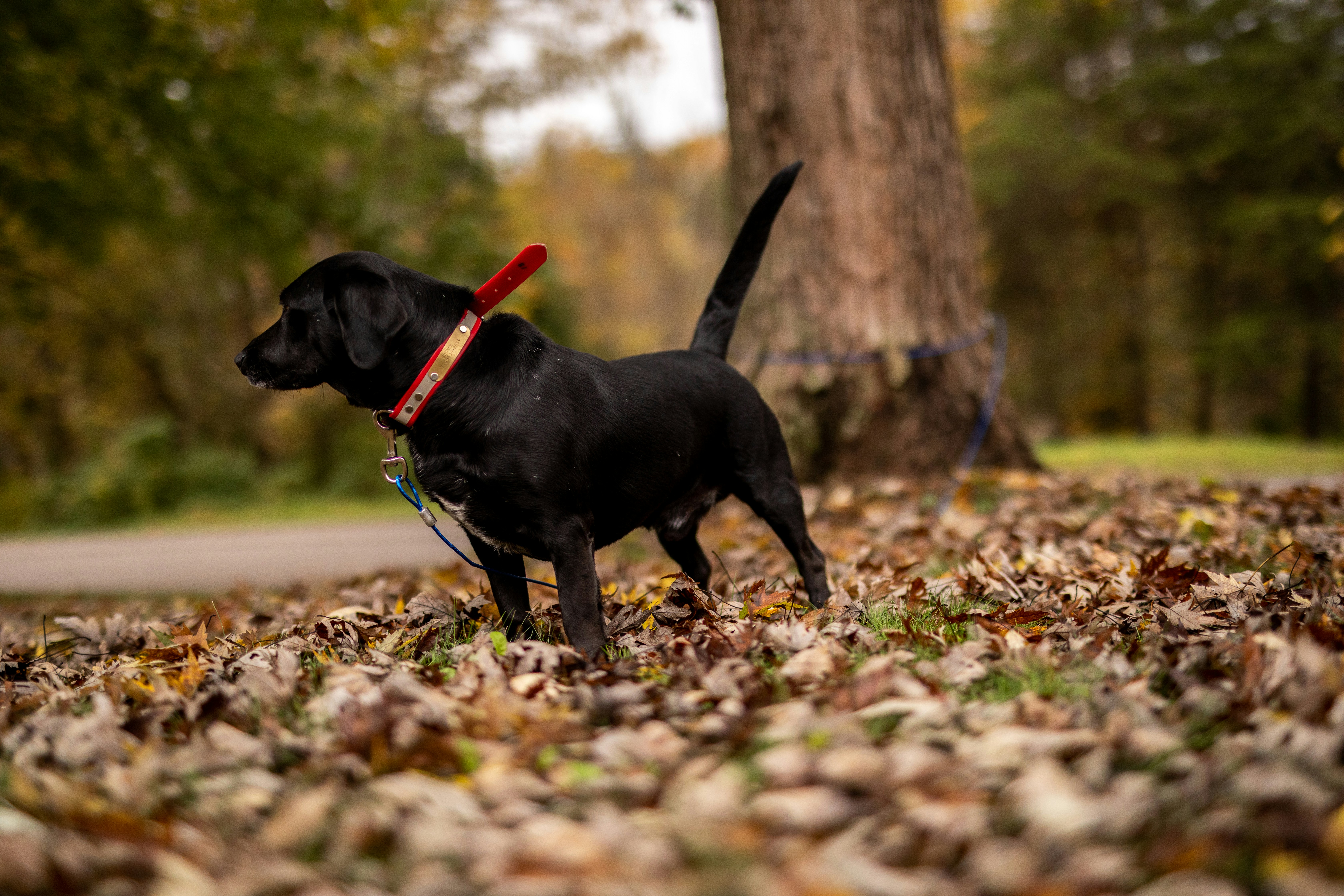 Photo by courtneywentz