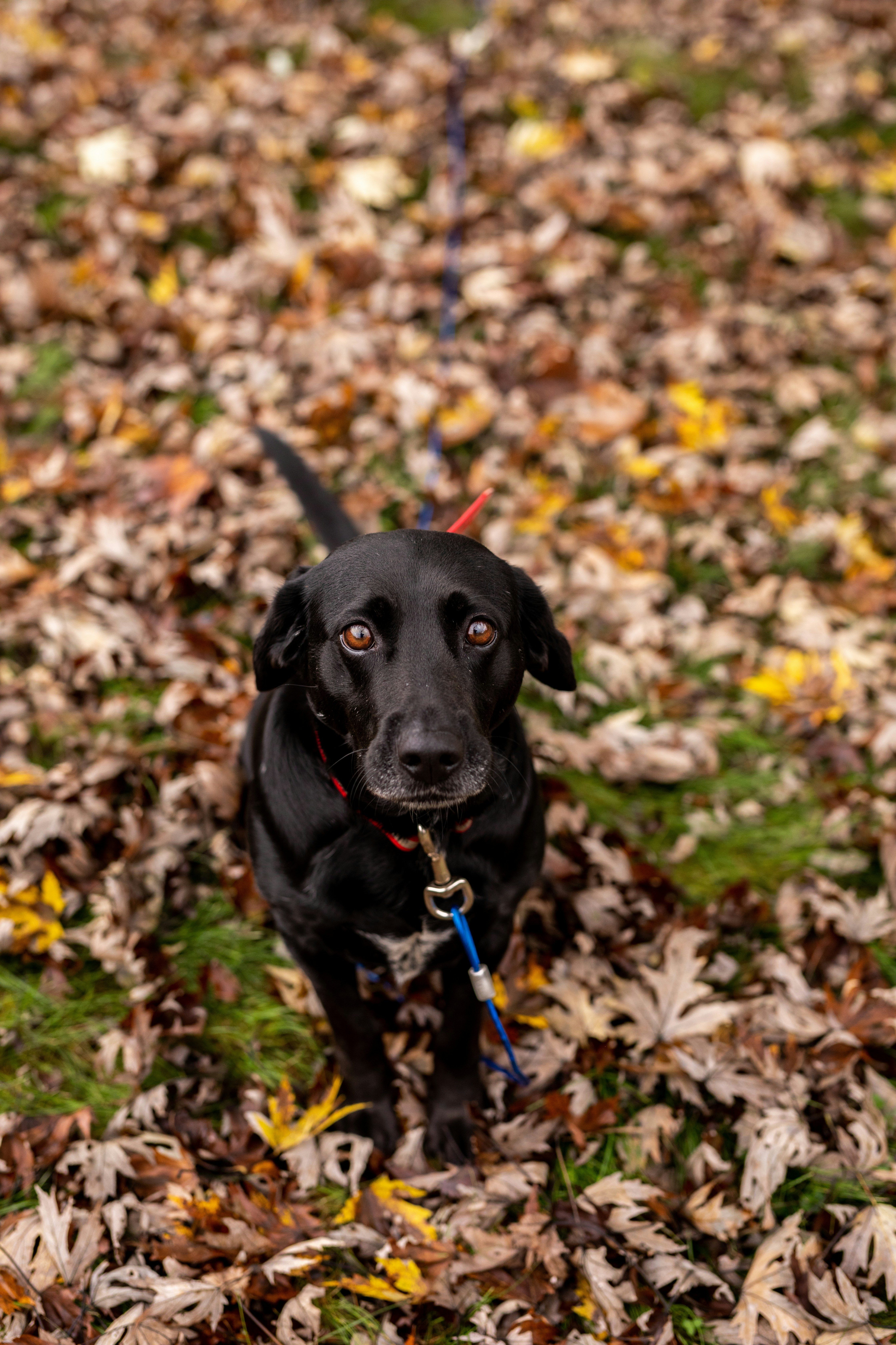 Photo by courtneywentz