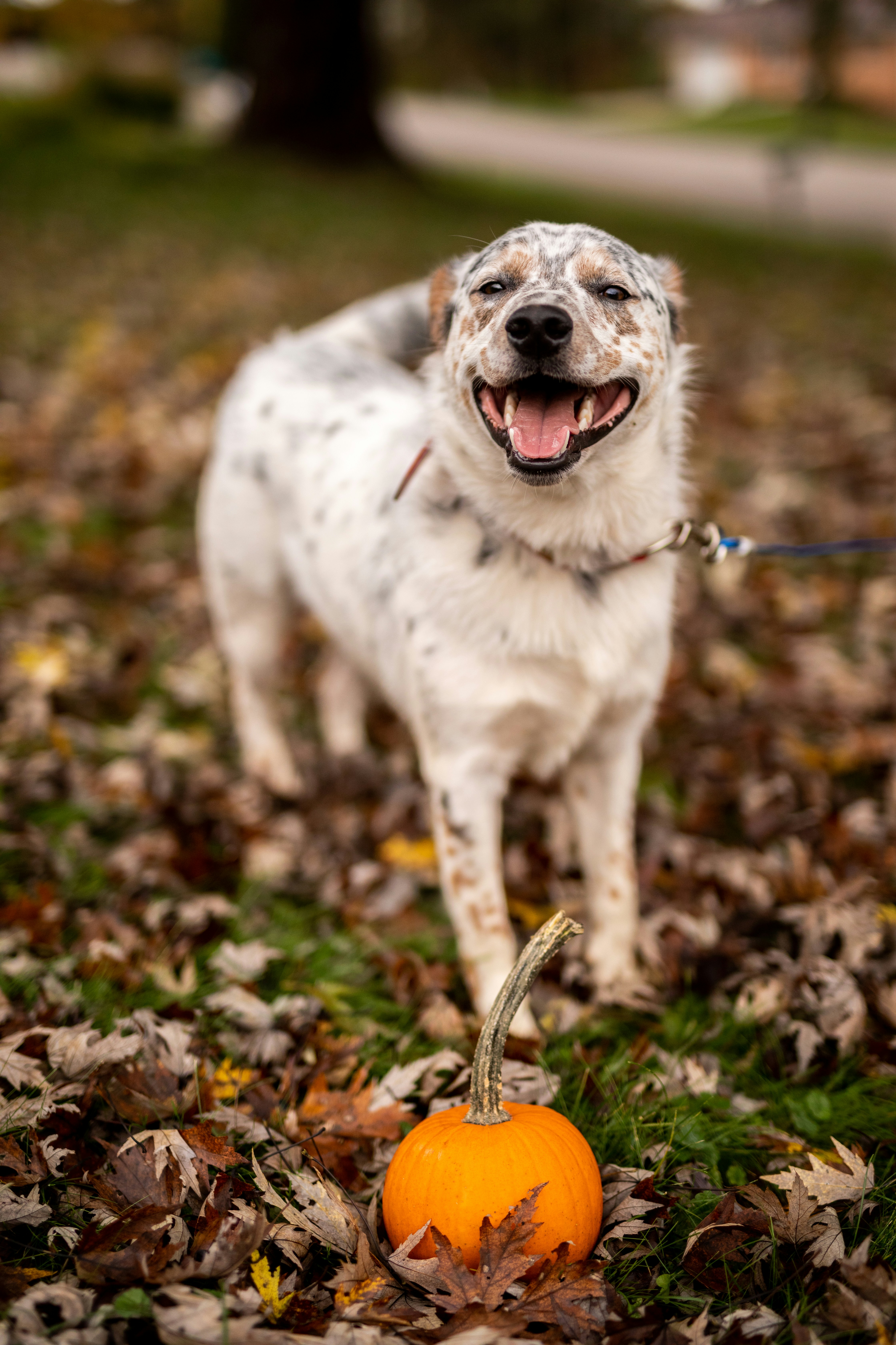 Photo by courtneywentz