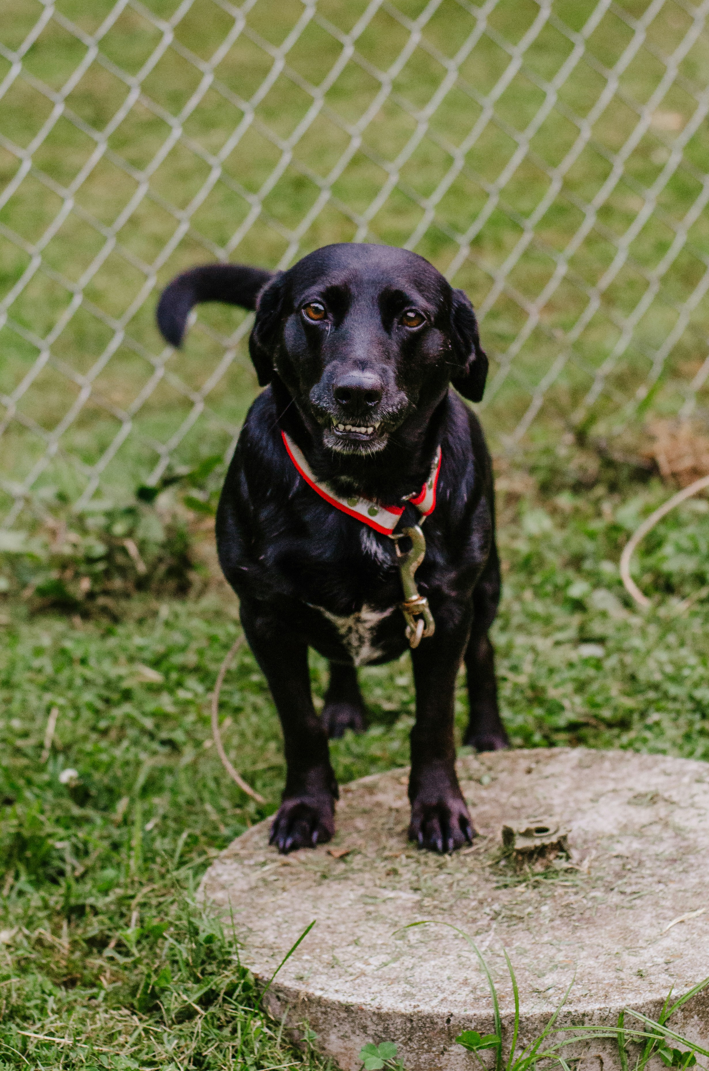 Photo by courtneywentz