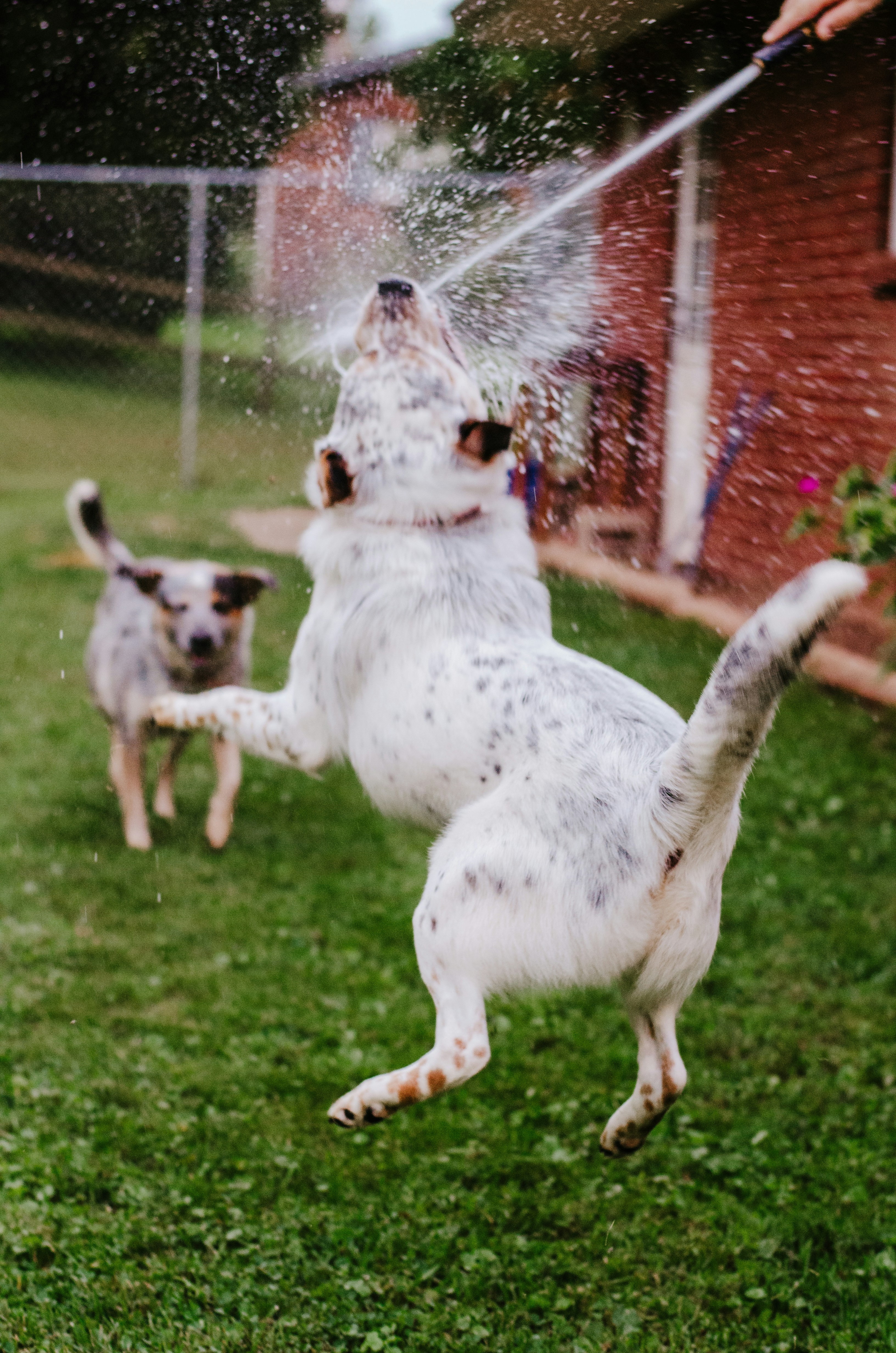 Photo by courtneywentz