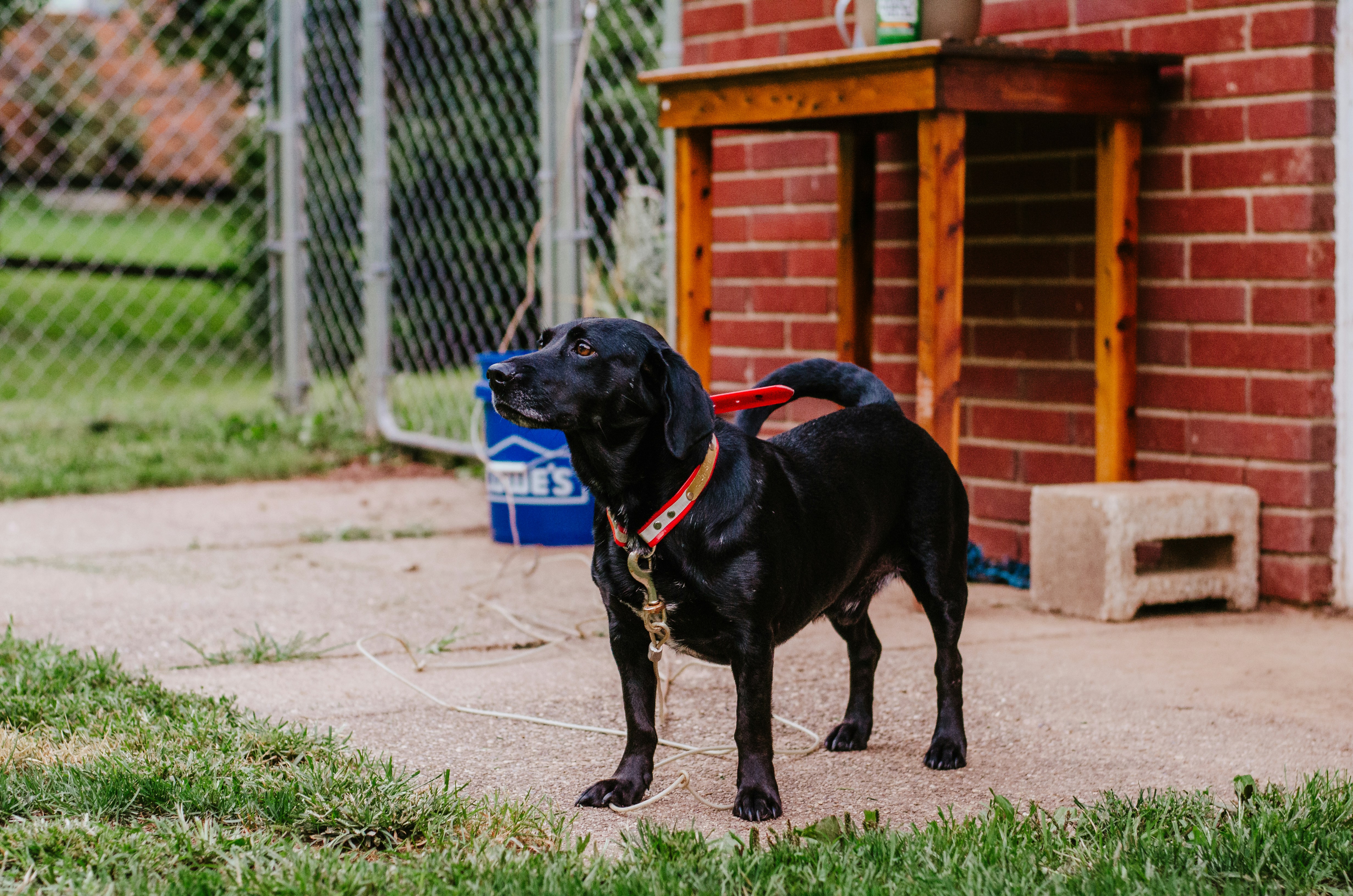 Photo by courtneywentz