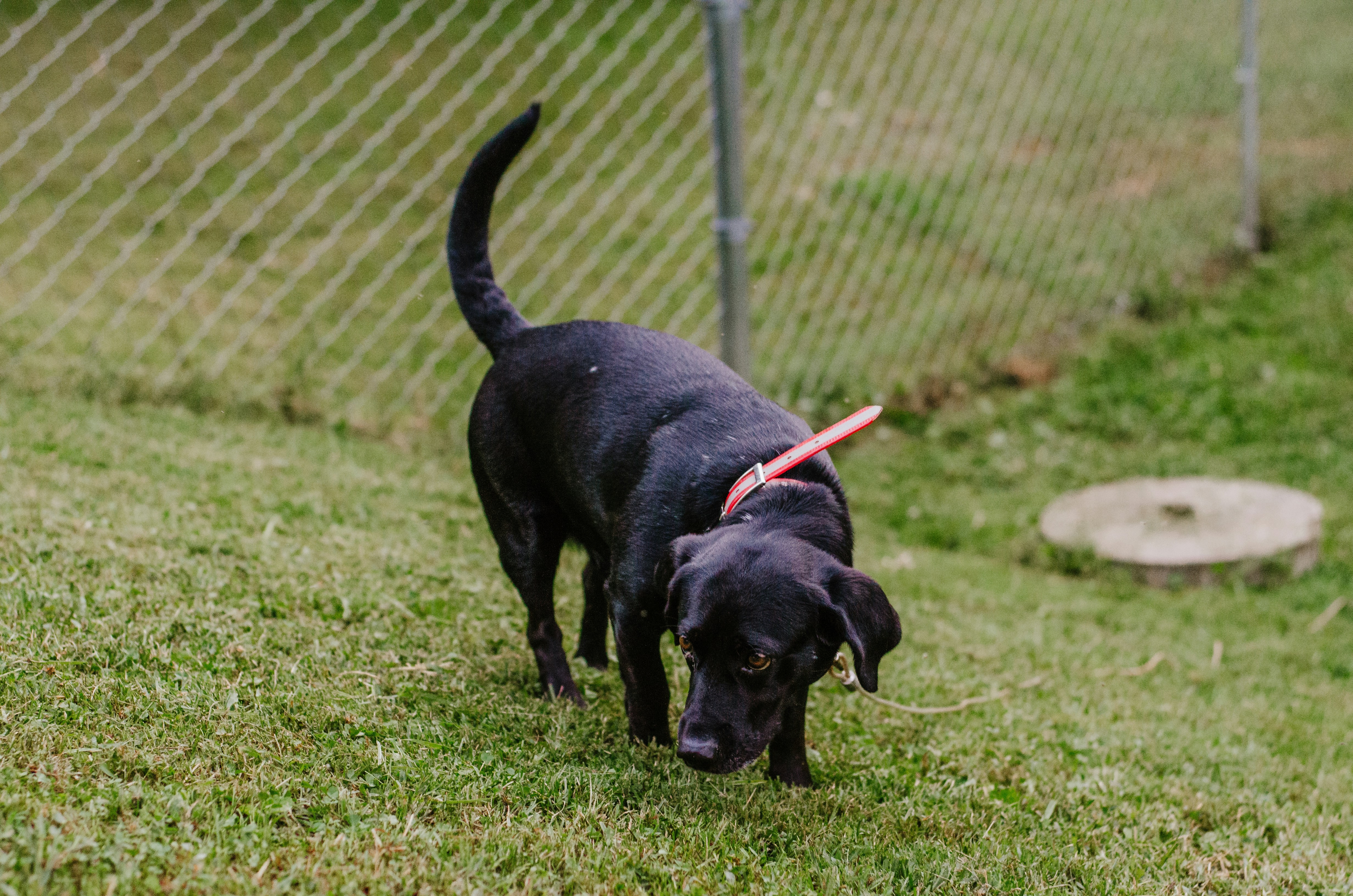 Photo by courtneywentz