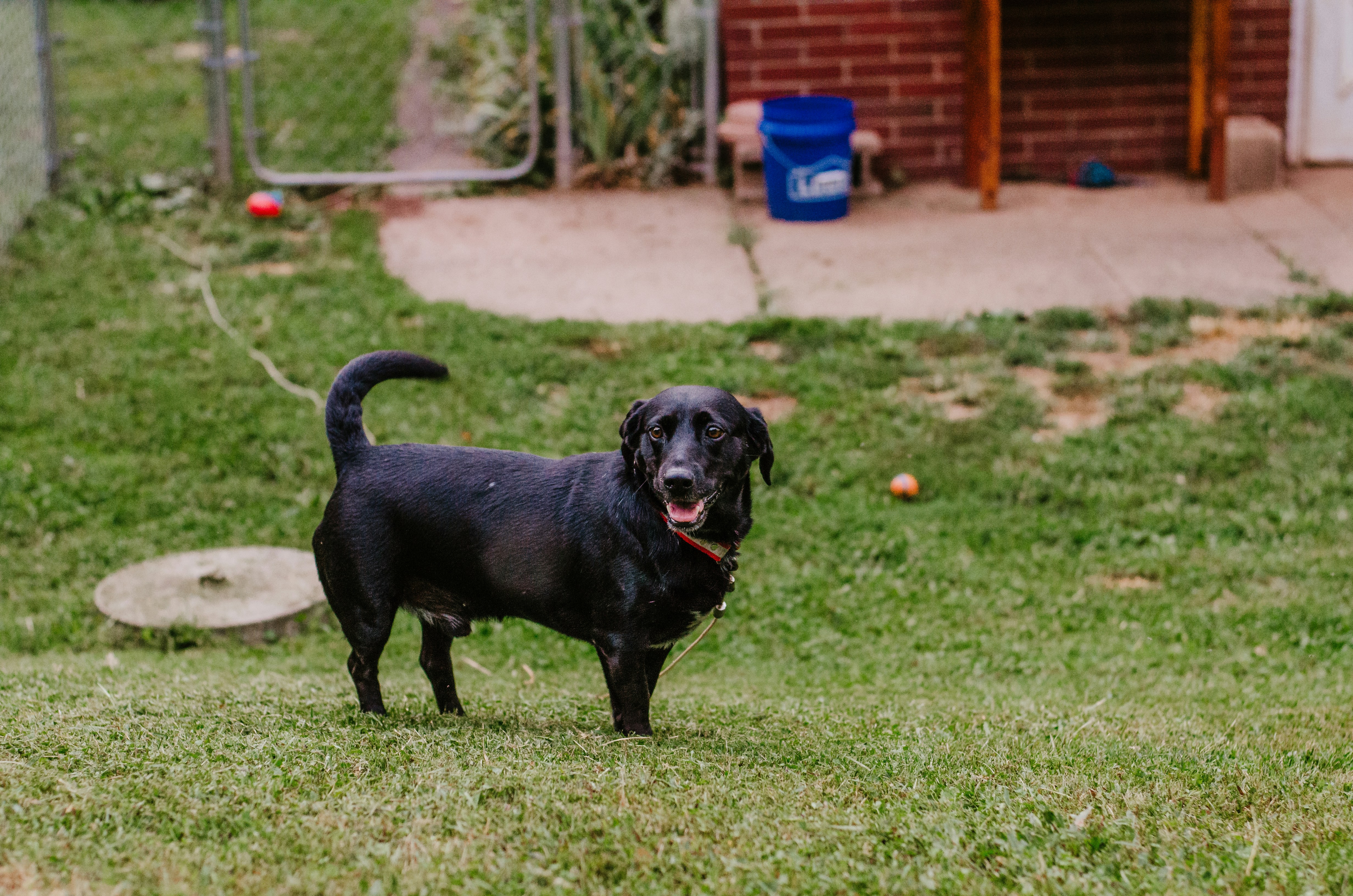 Photo by courtneywentz