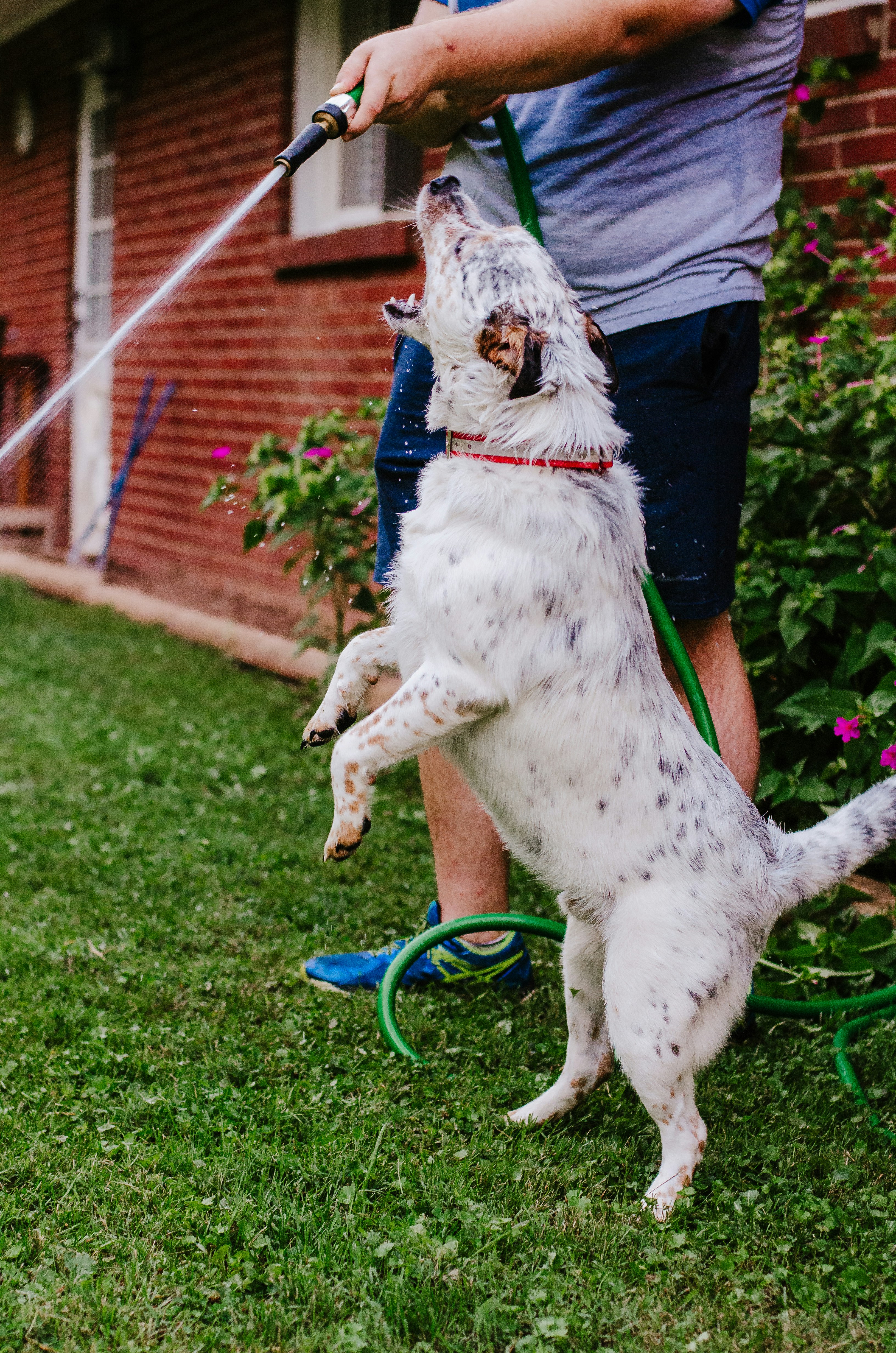 Photo by courtneywentz