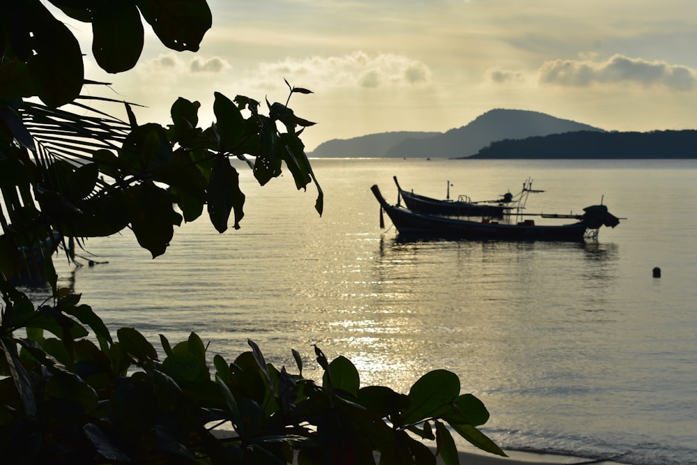 a couple of boats floating on top of a body of water