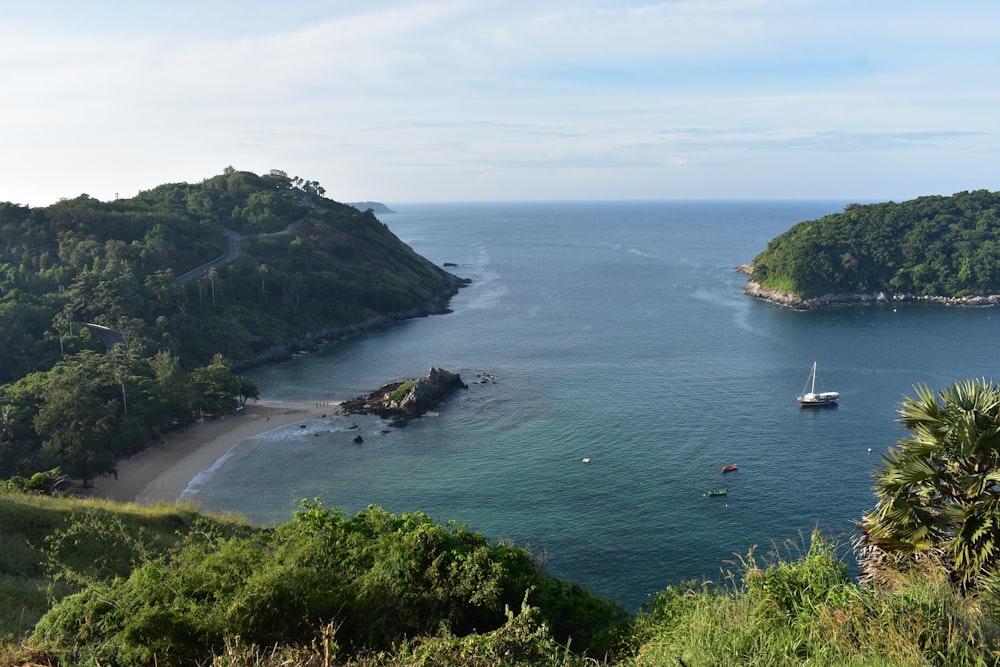 a body of water surrounded by lush green trees