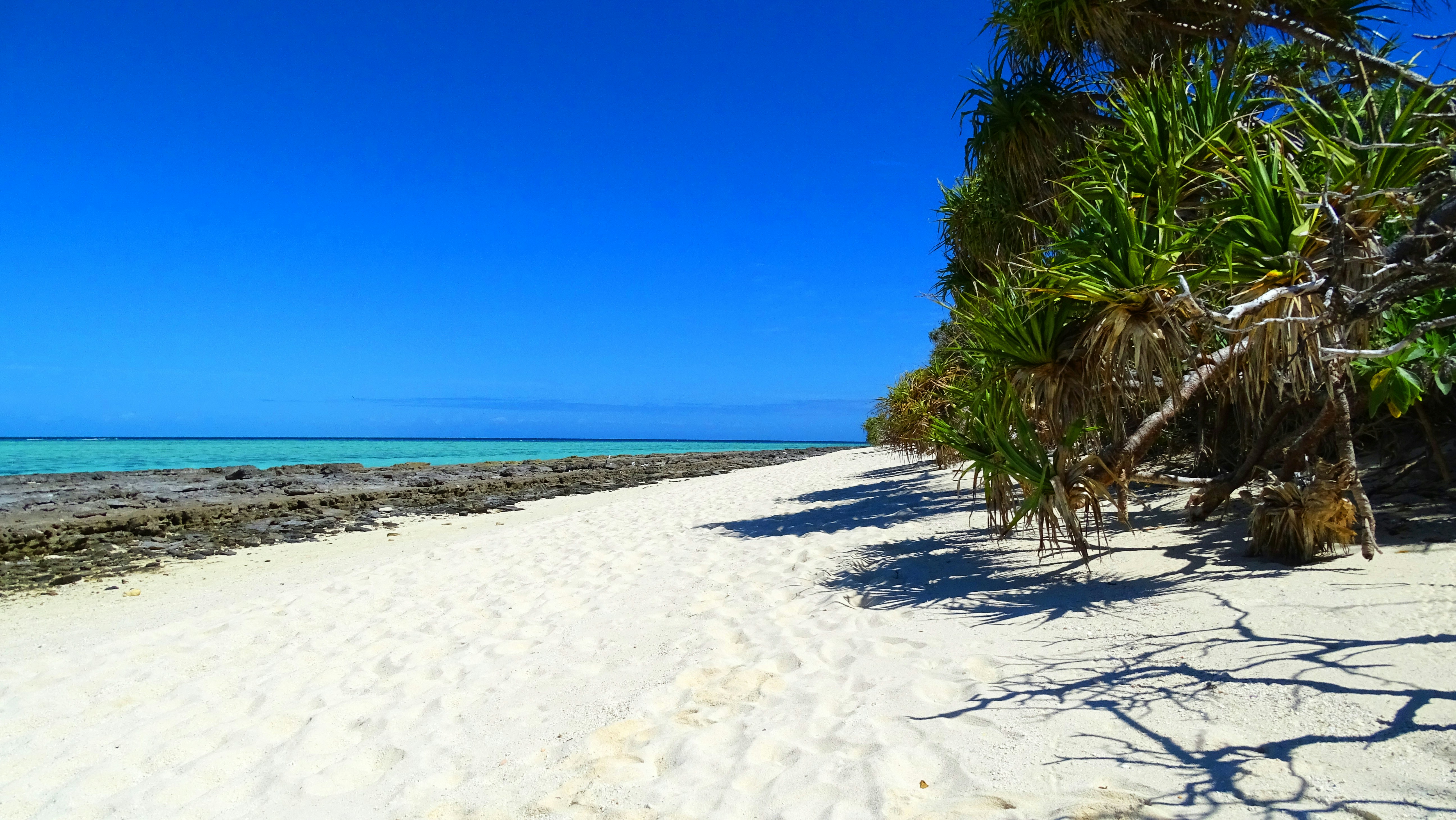 Photo by mjeichemberger