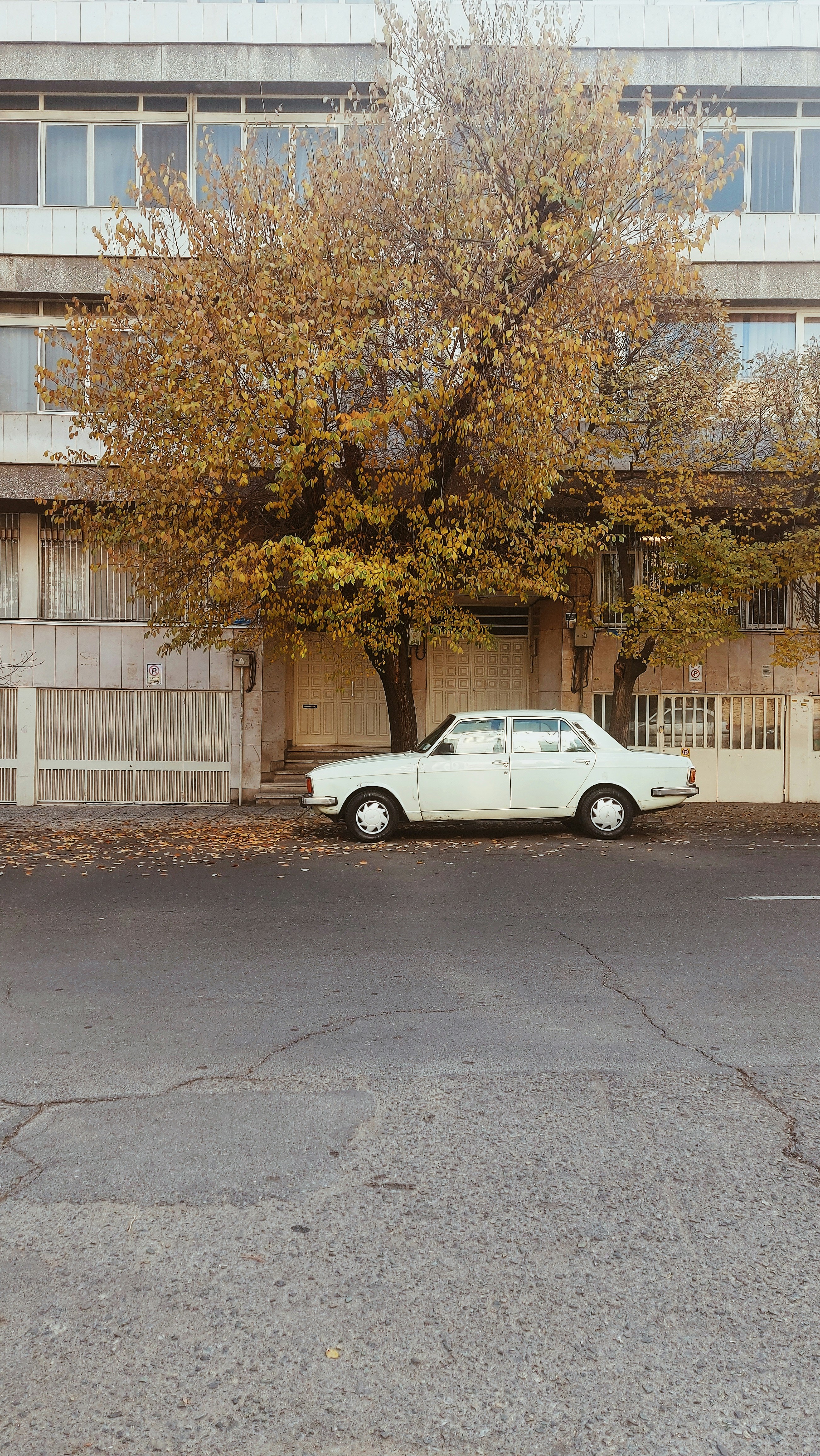 a white car parked in front of a tall building