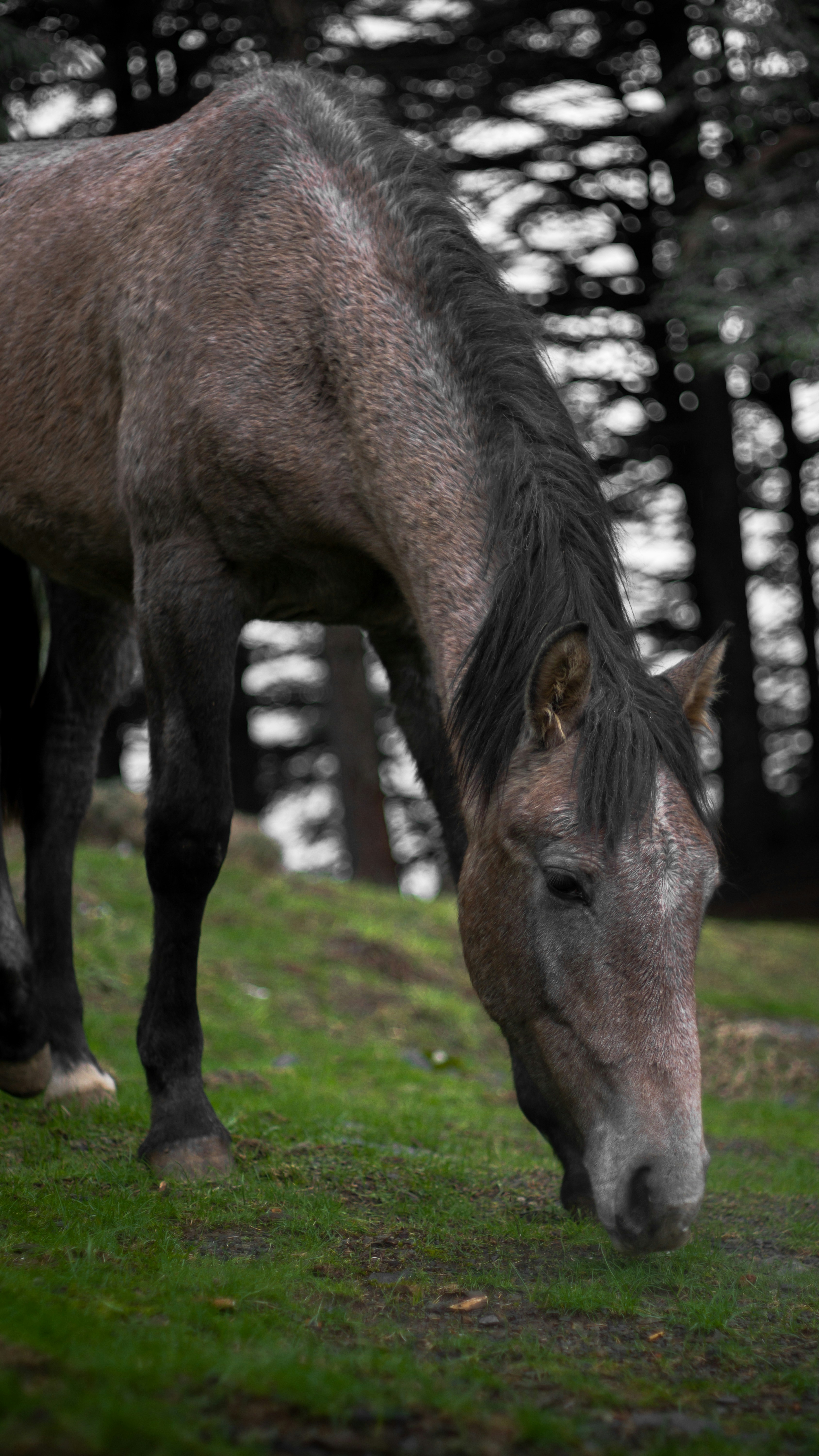 Photo by fethibenattallah