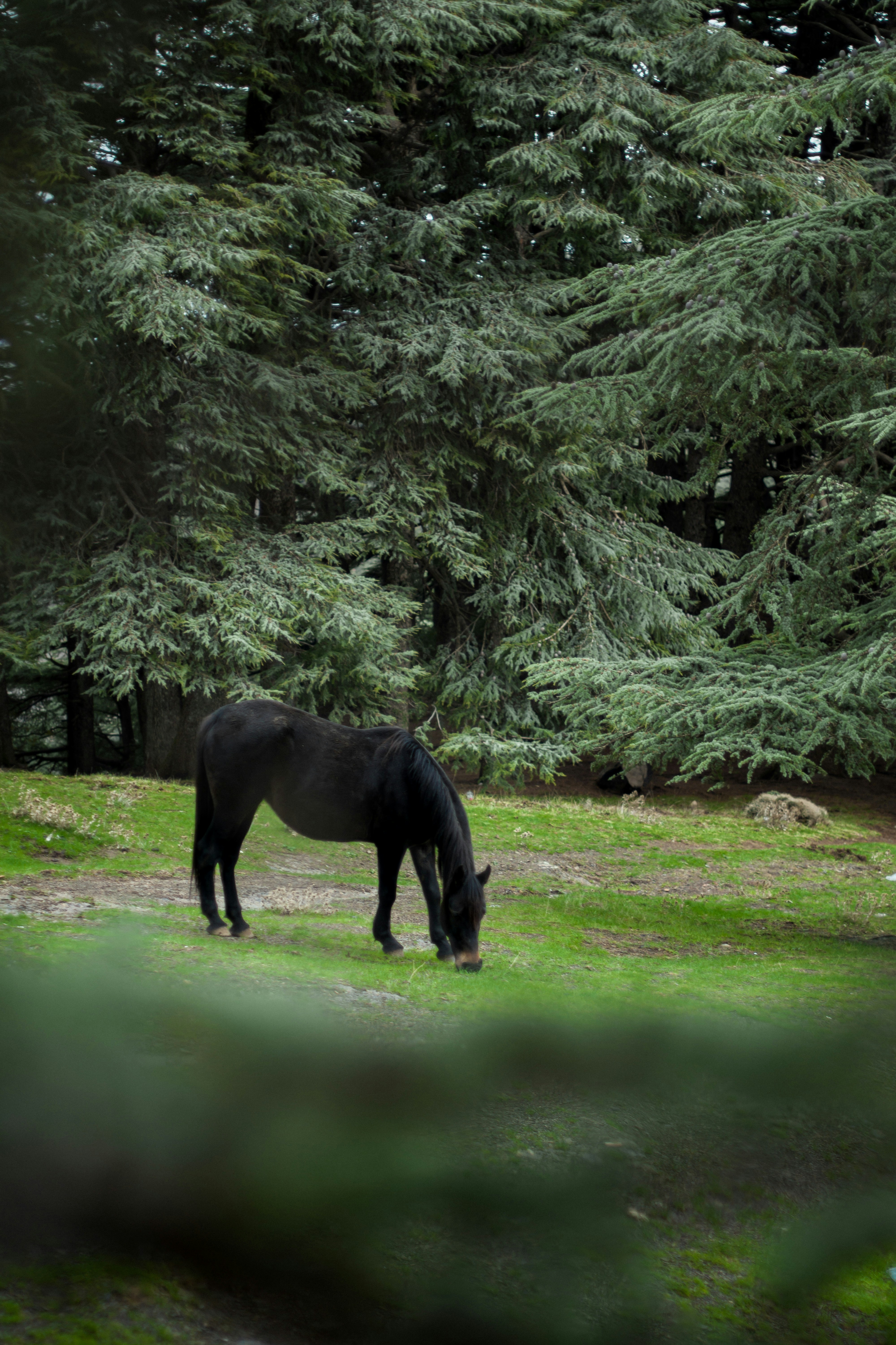 Photo by fethibenattallah